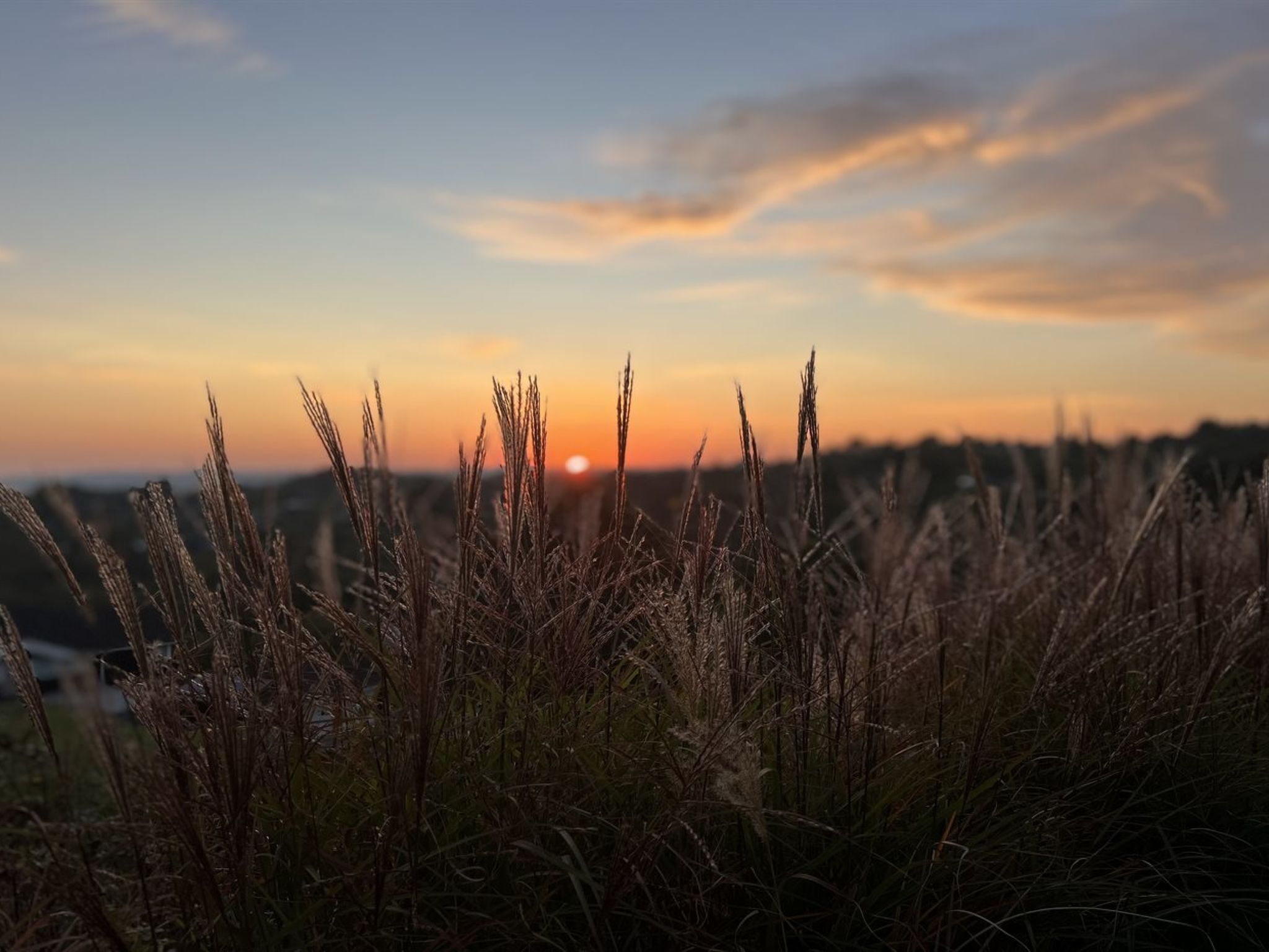 "Harda" - 800m from the sea - Buiten