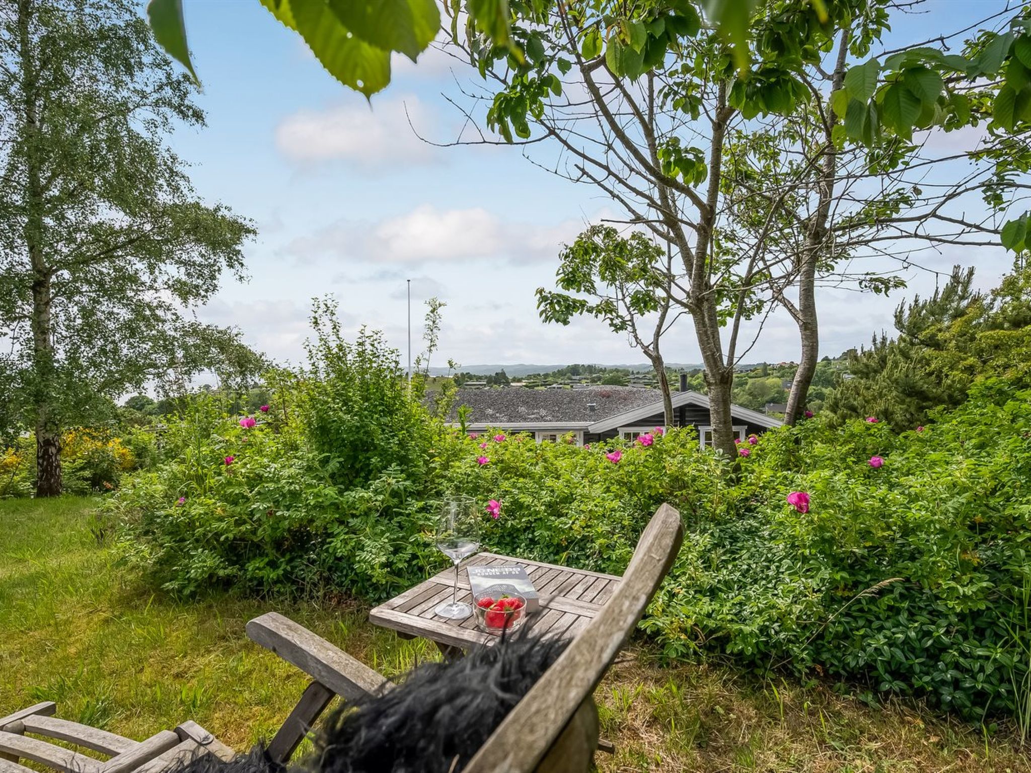 "Harda" - 800m from the sea - Buiten