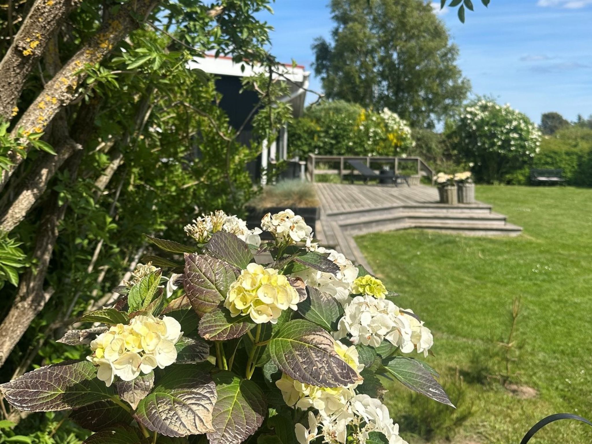 "Stygge" - 400m from the sea - Buiten