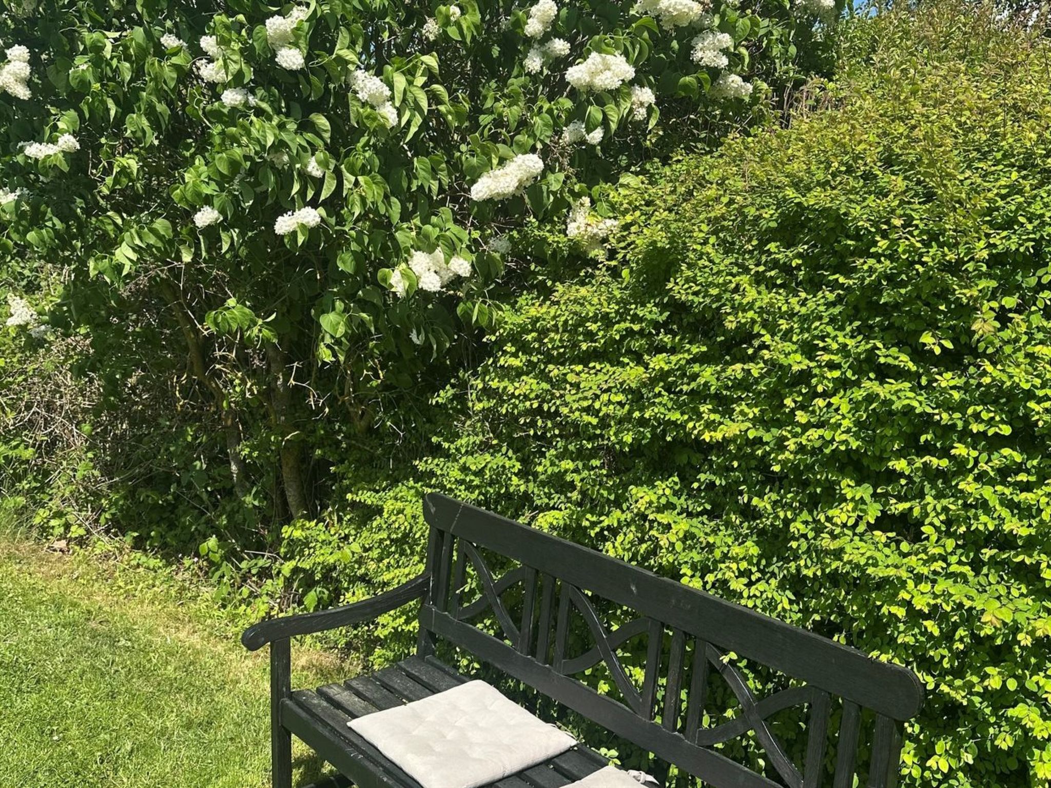"Stygge" - 400m from the sea - Buiten