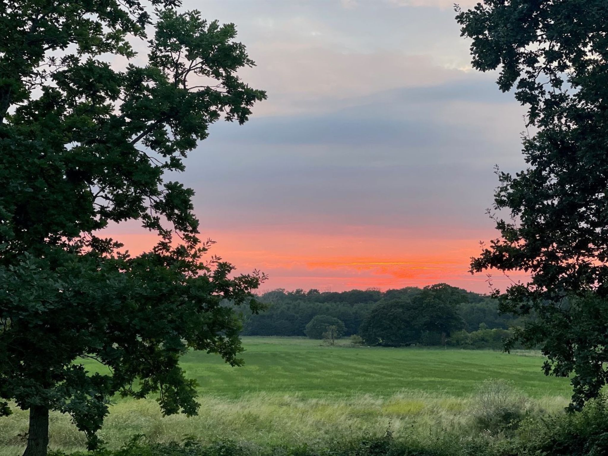 "Lilla" - 120m from the sea-Buiten