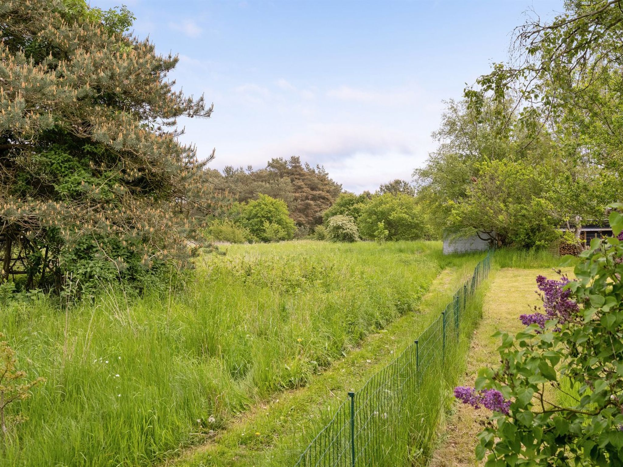 "Aris" - 480m from the sea - Buiten