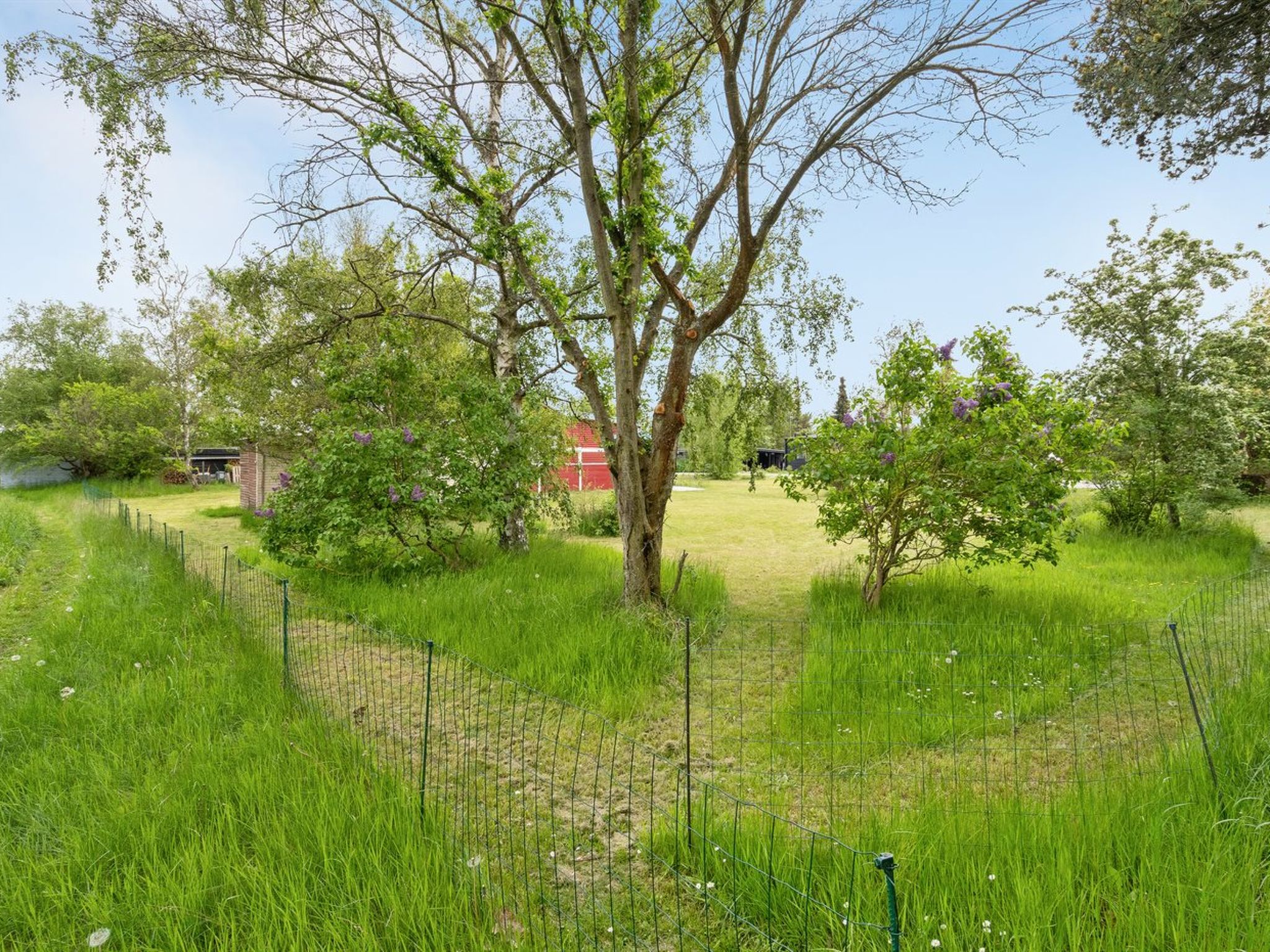 "Aris" - 480m from the sea - Buiten