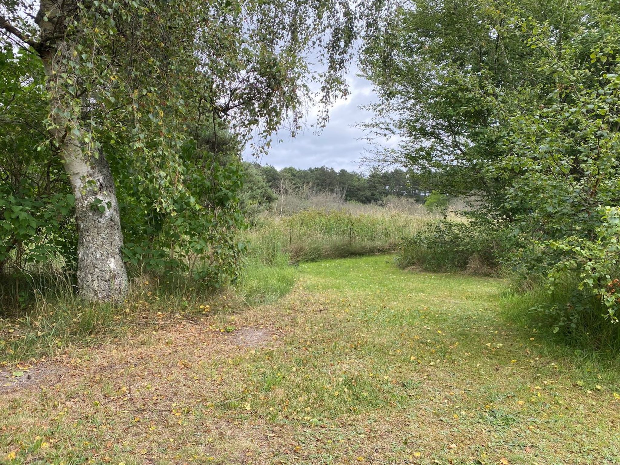 "Aris" - 480m from the sea - Buiten