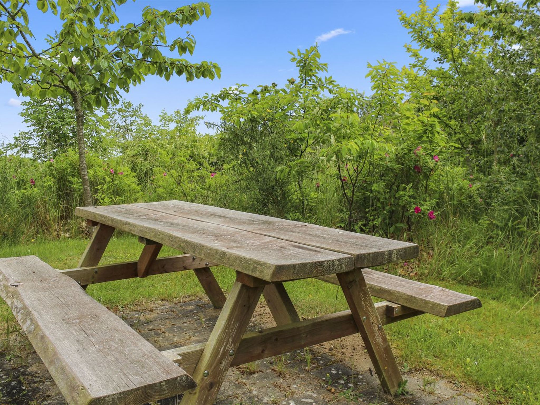 "Rawald" - 200m from the sea - Buiten