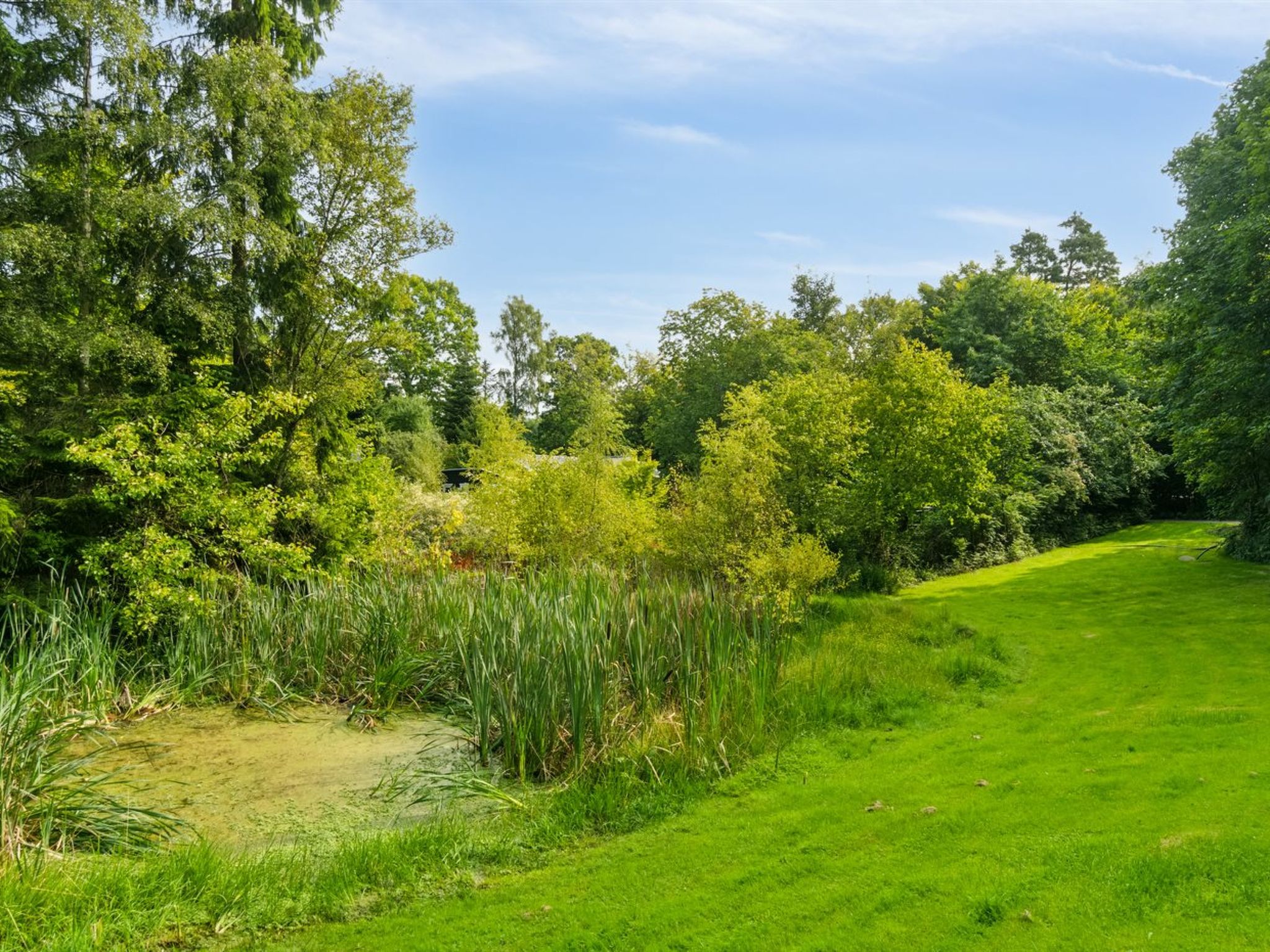 "Vesa" - 2.4km from the sea