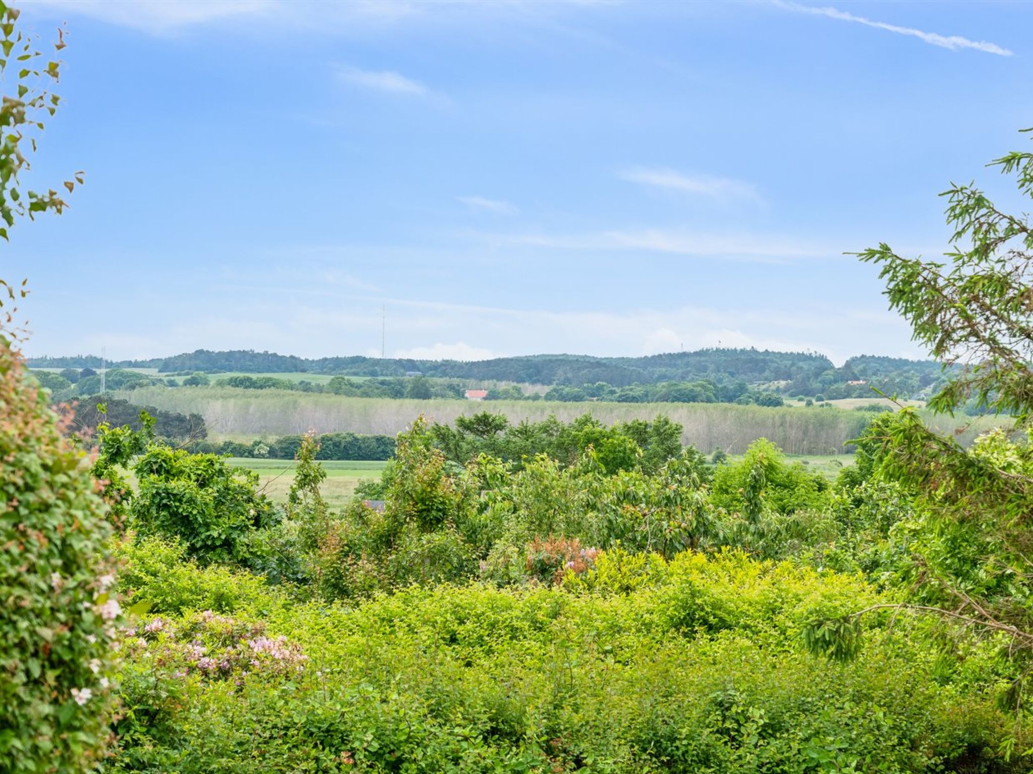 "Lauha" - 400m from the sea - Outside