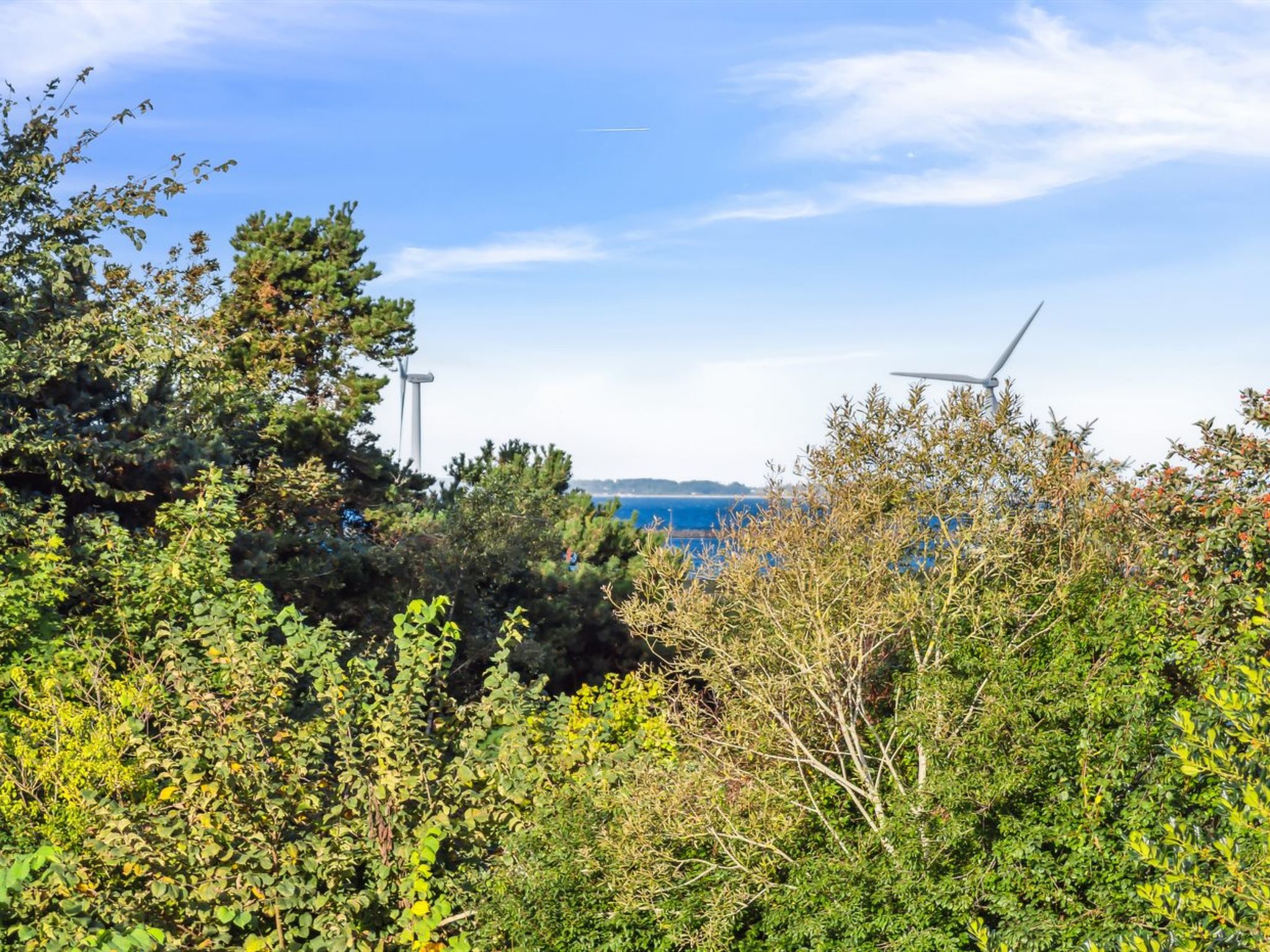 "Carolin" - 300m from the sea - Draußen