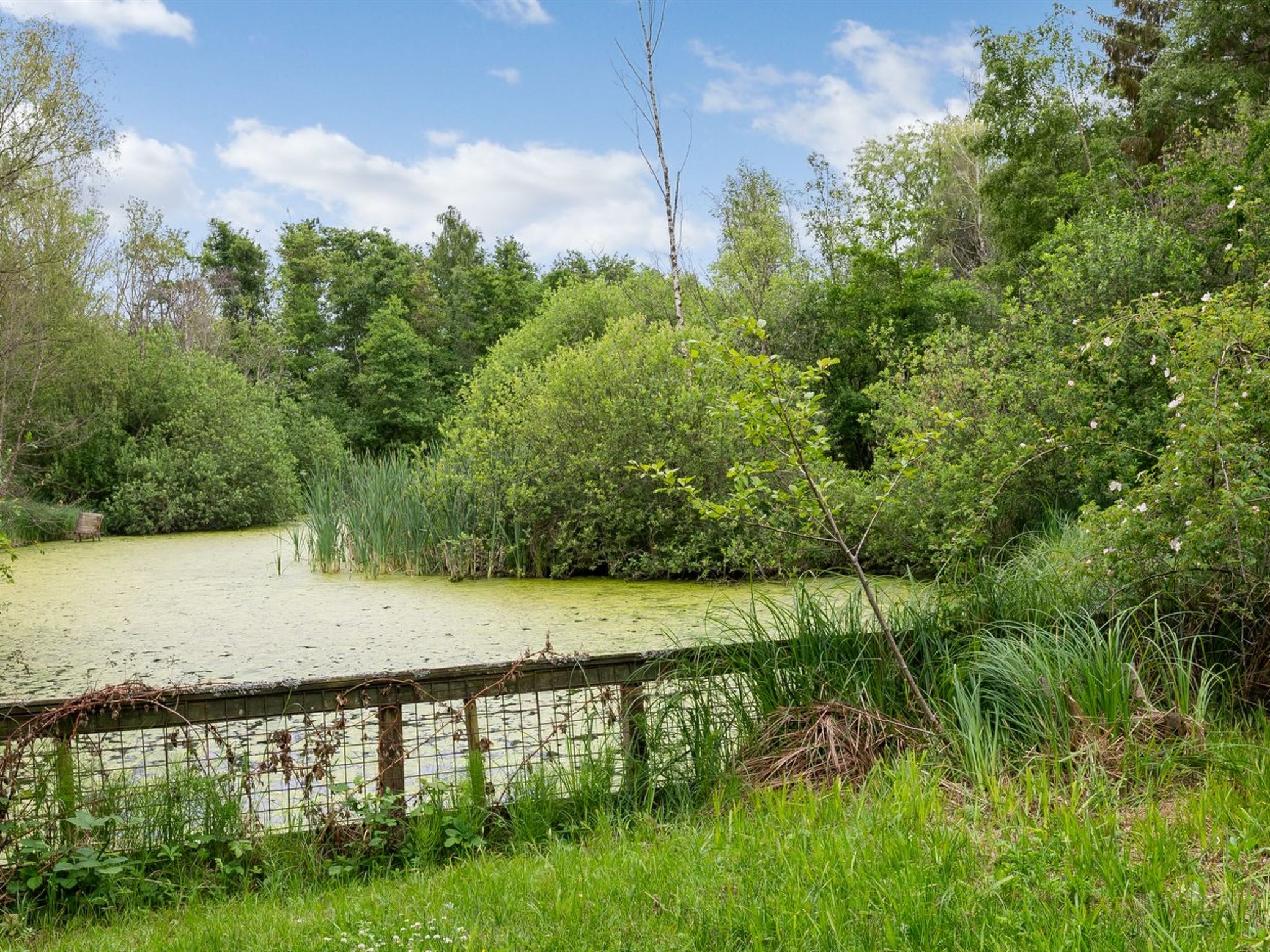 "Albina" - 650m from the sea - Buiten