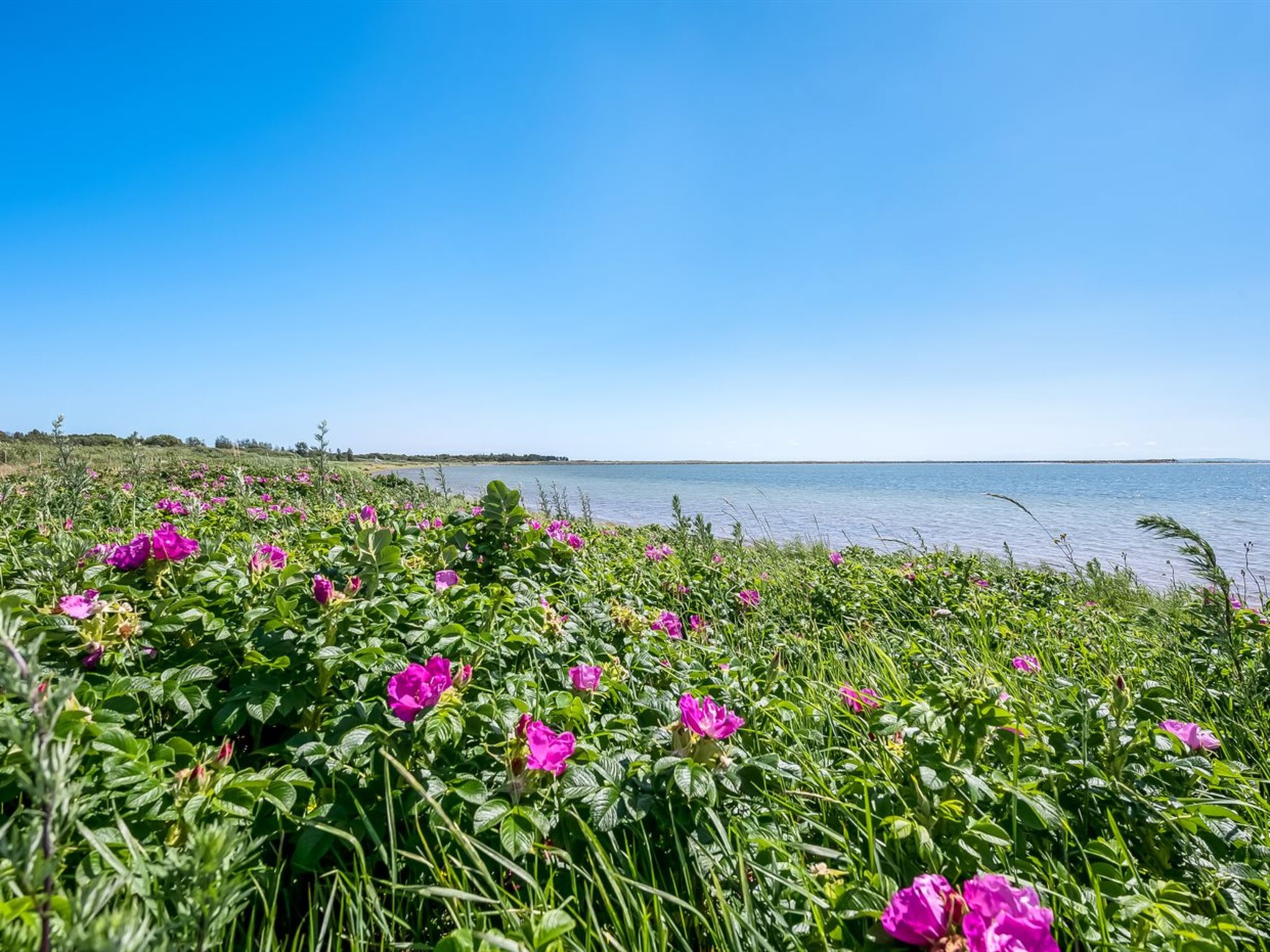 "Tatianna" - 100m from the sea