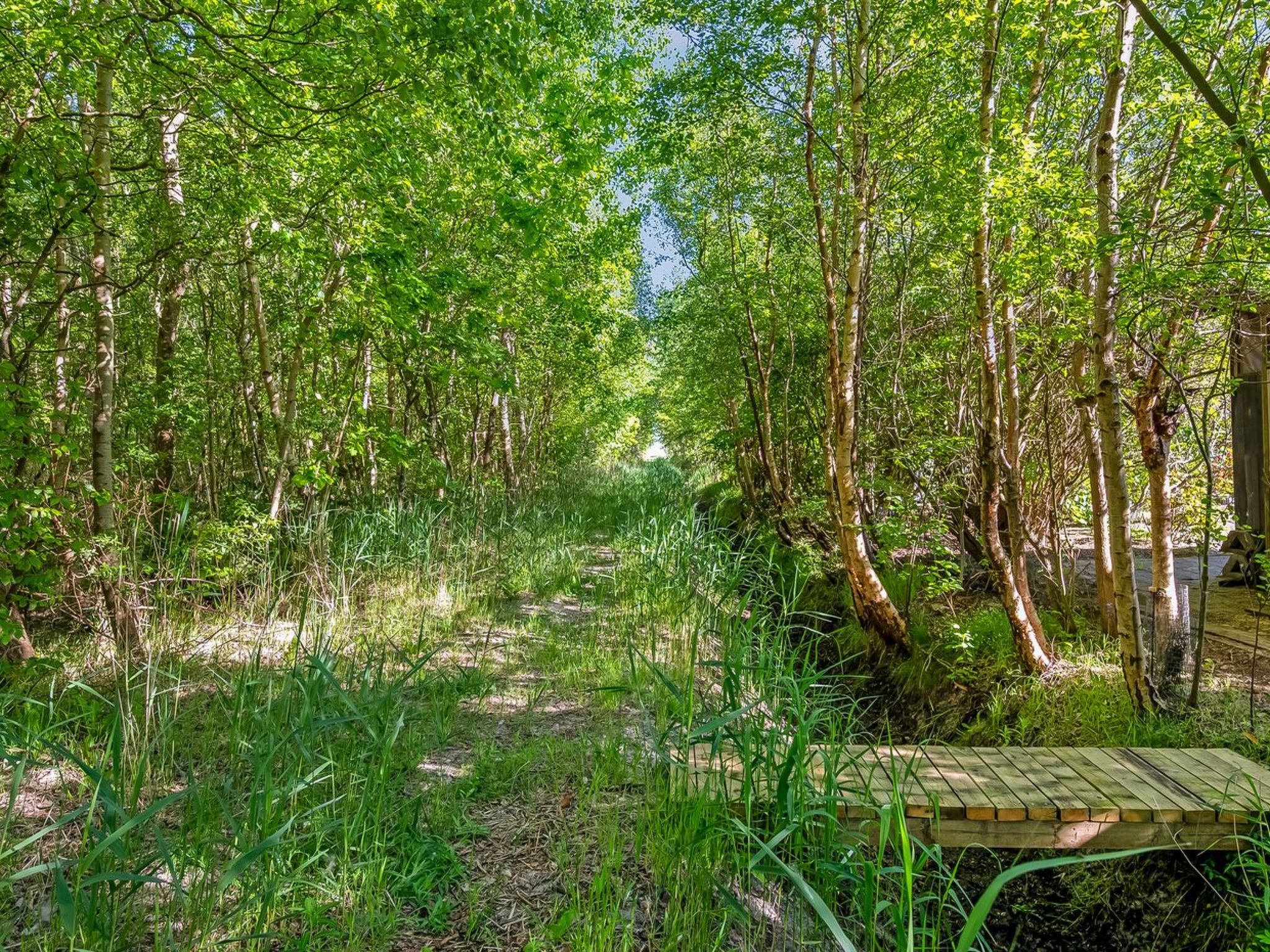 "Skuli" - 300m from the sea - Dehors