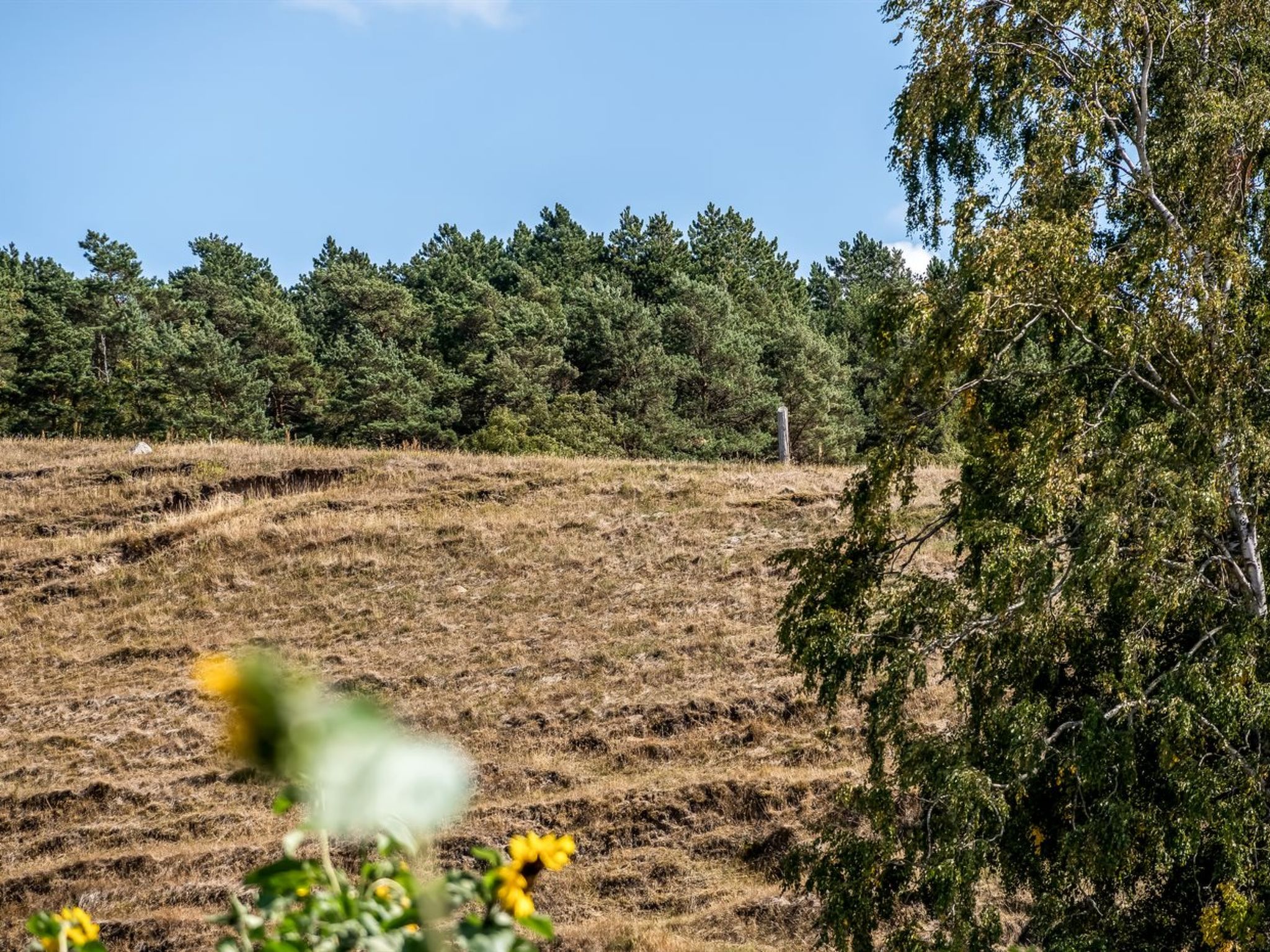 "Eva" - 1.5km to the fjord - Buiten