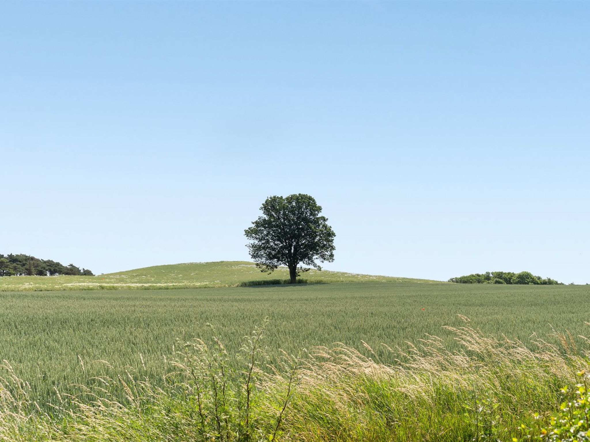 "Hila" - 900m from the sea-Buiten