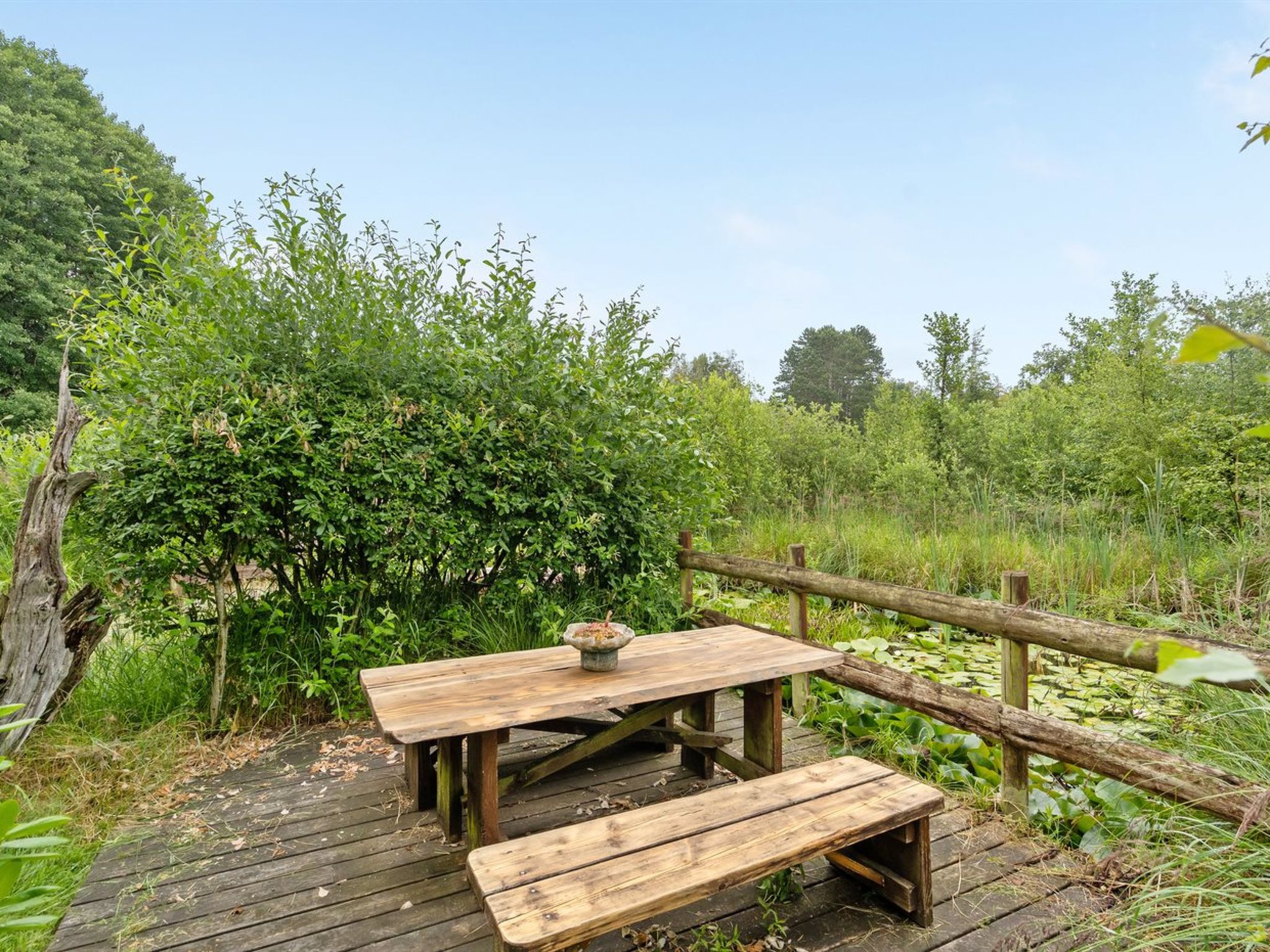 "Rakita" - 550m from the sea — Terrace (4 of 24)