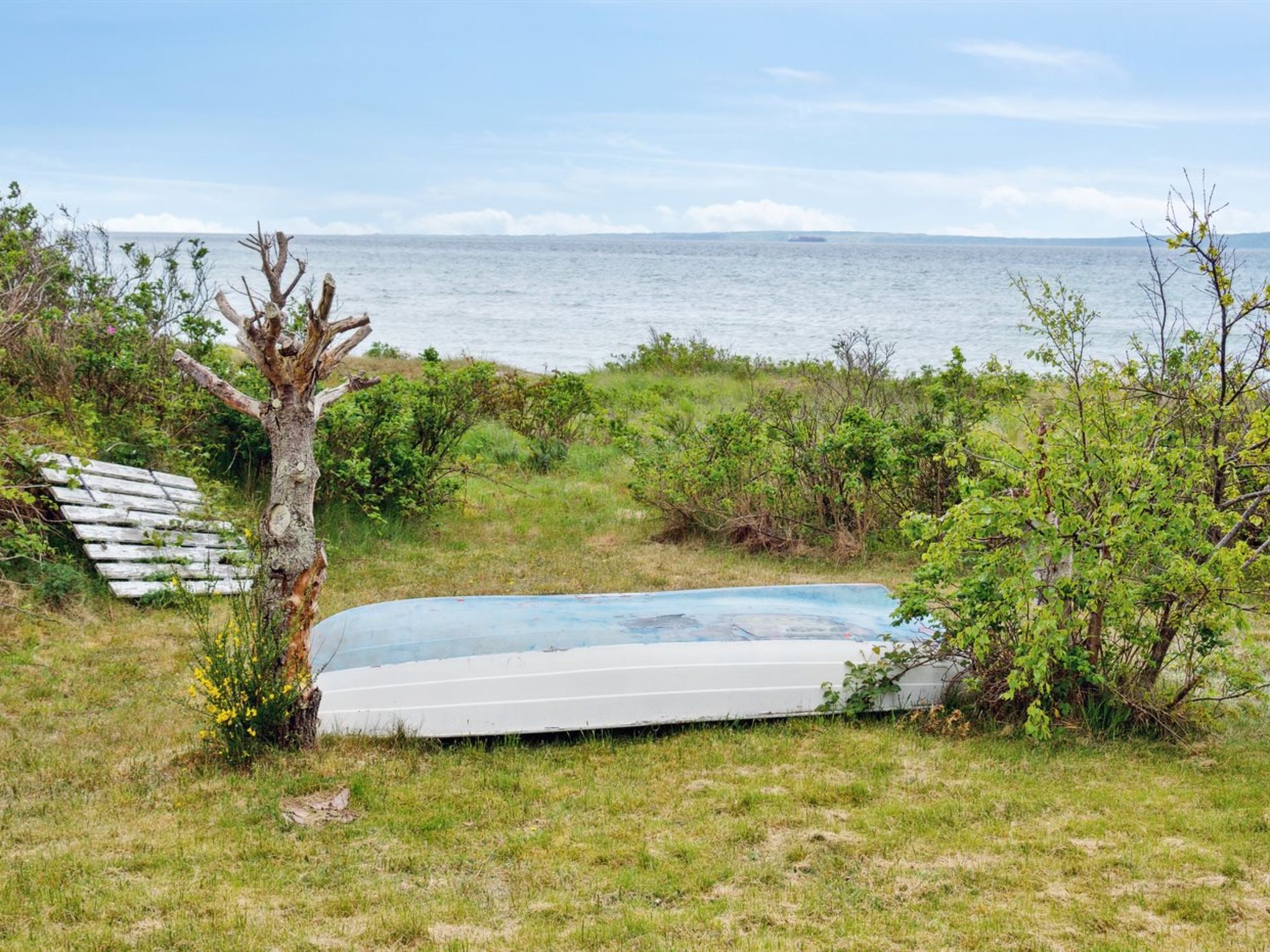 "Elspeth" - 25m from the sea - Buiten