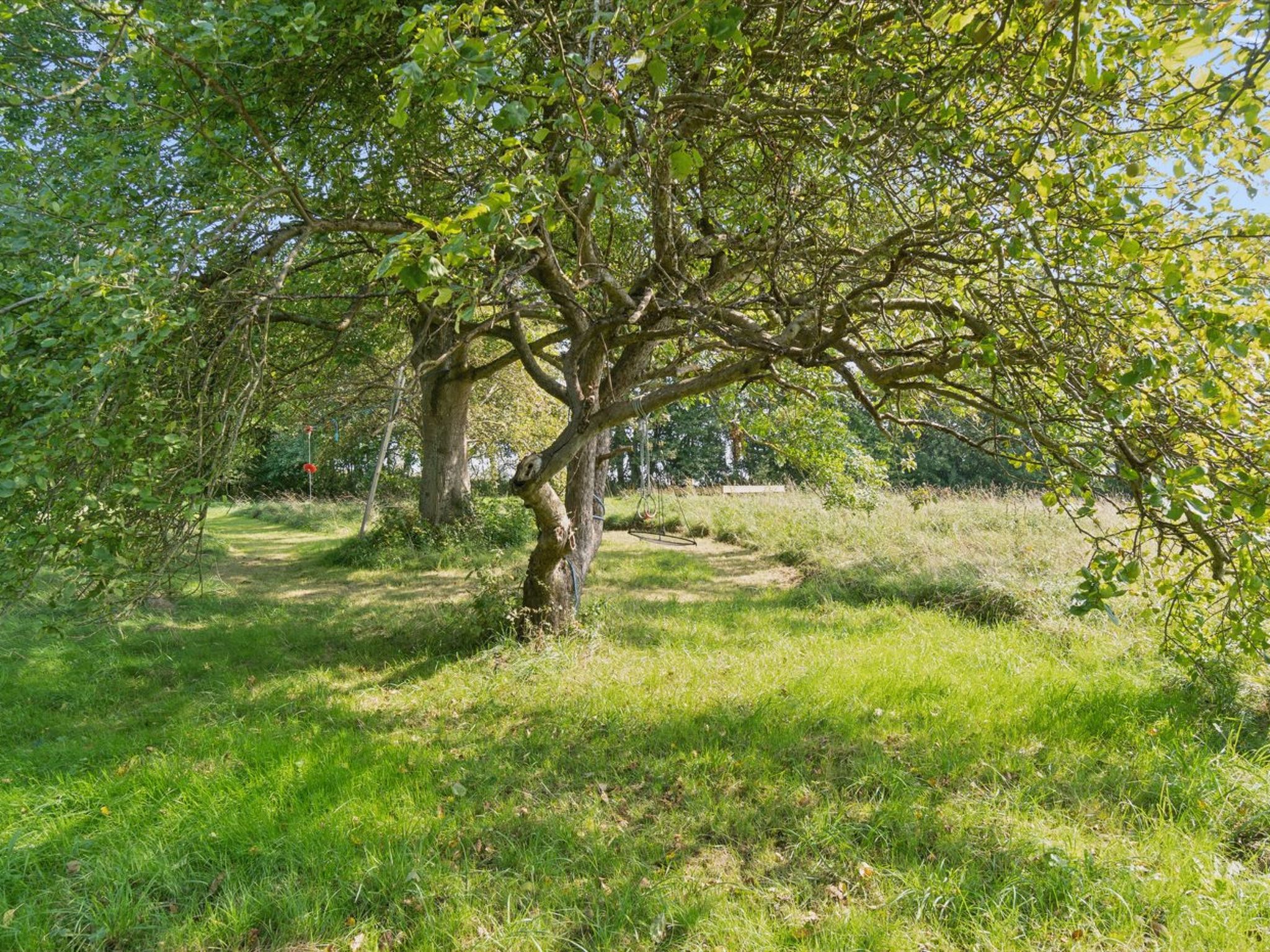 Place