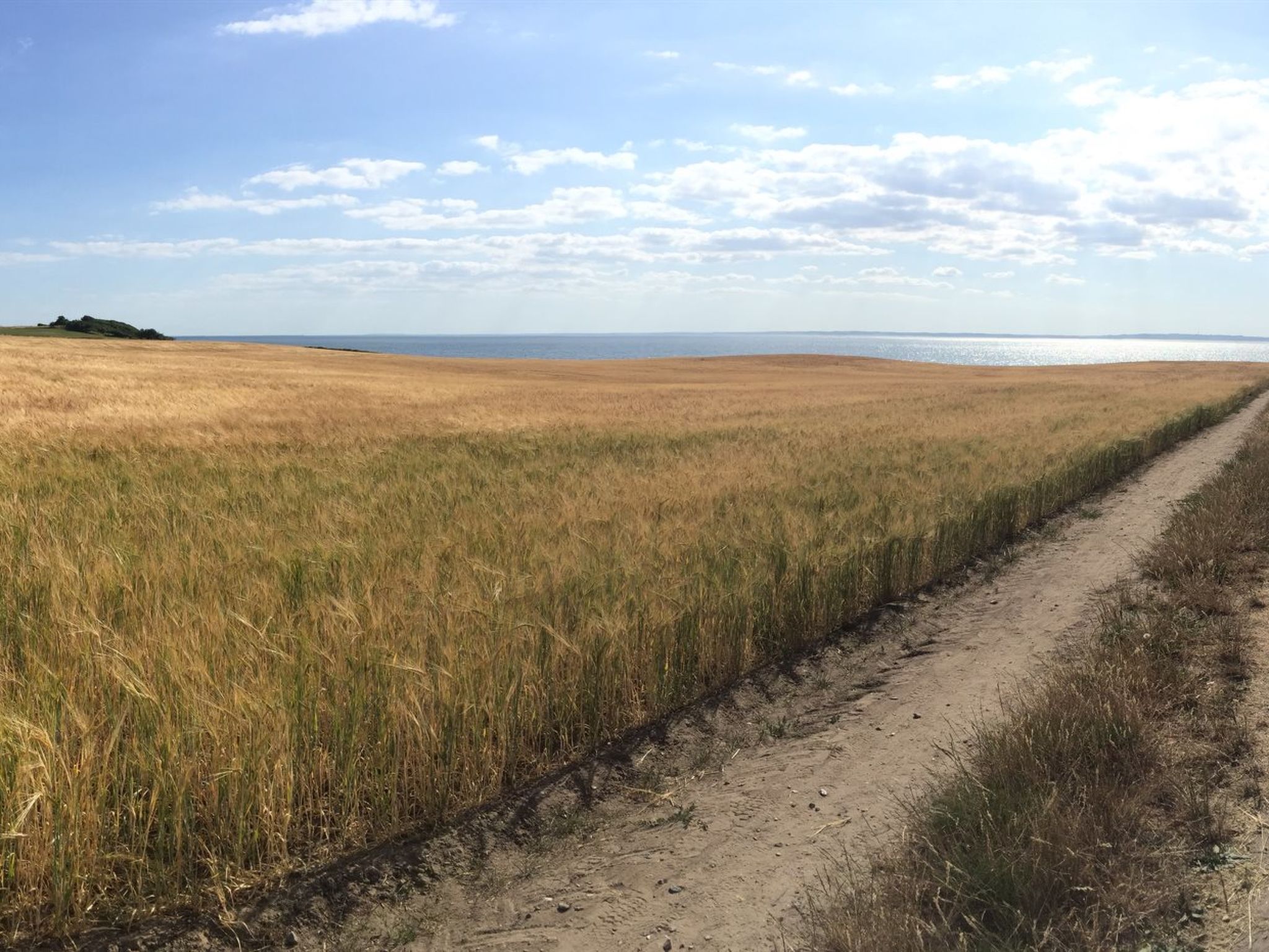 "Stygg" - 400m from the sea - Buiten