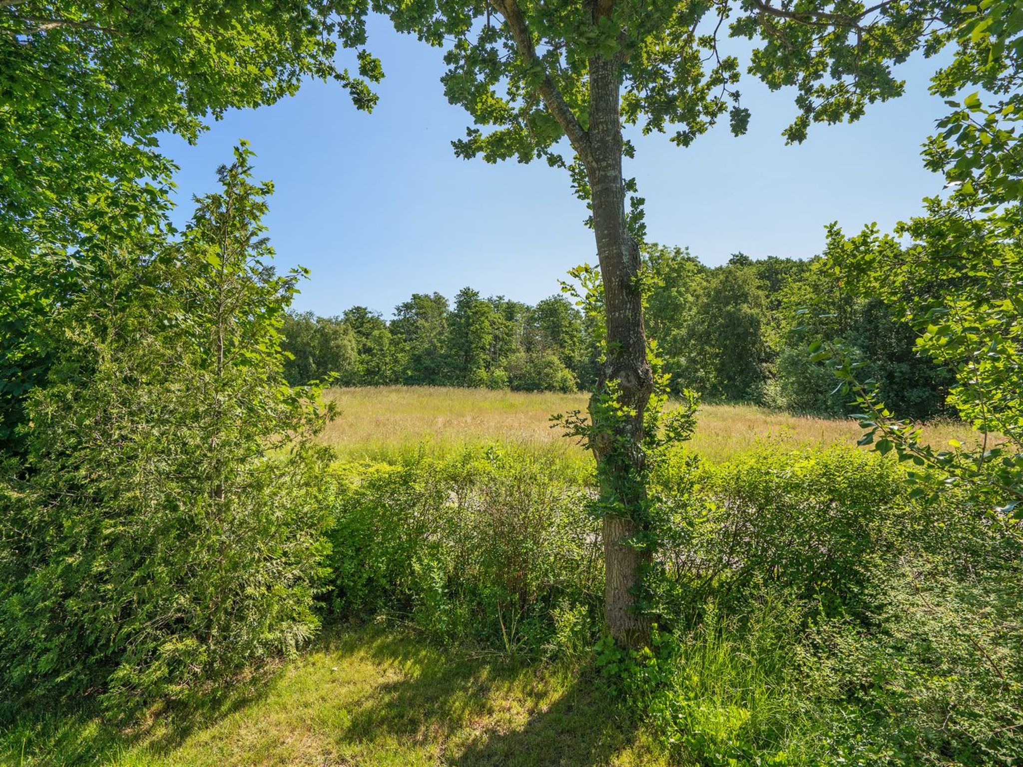 "Steffenie" - 250m from the sea - Buiten