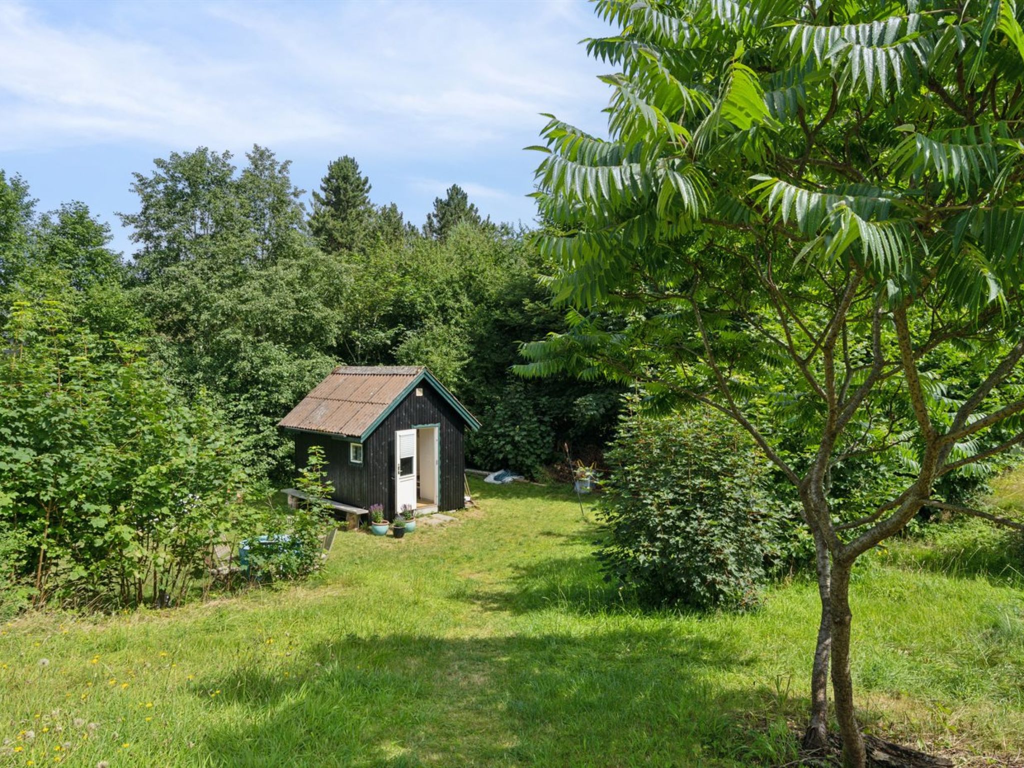 "Marjanne" - 800m from the sea - Buiten