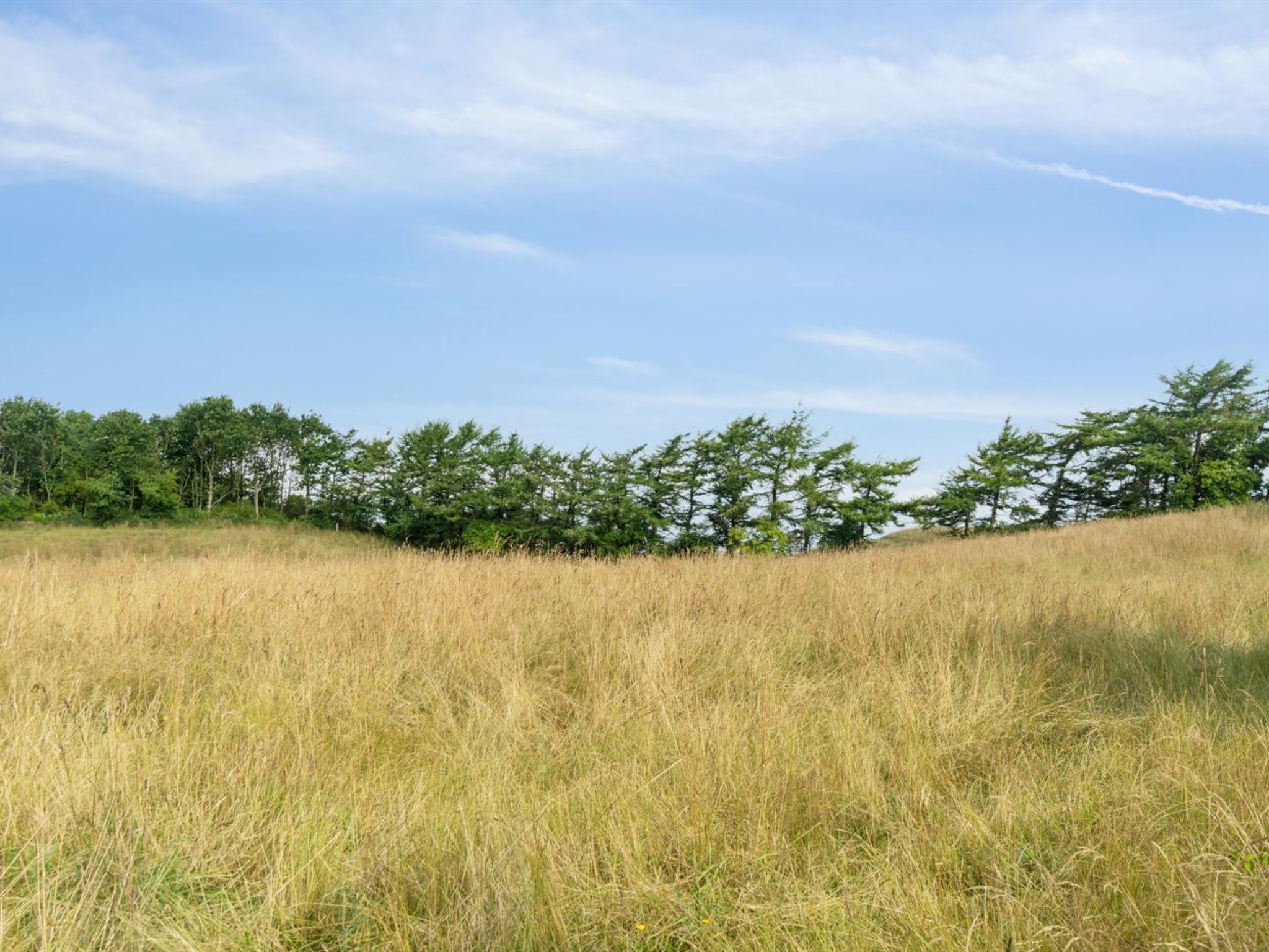 "Dorthie" - 1.7km from the sea-Outside