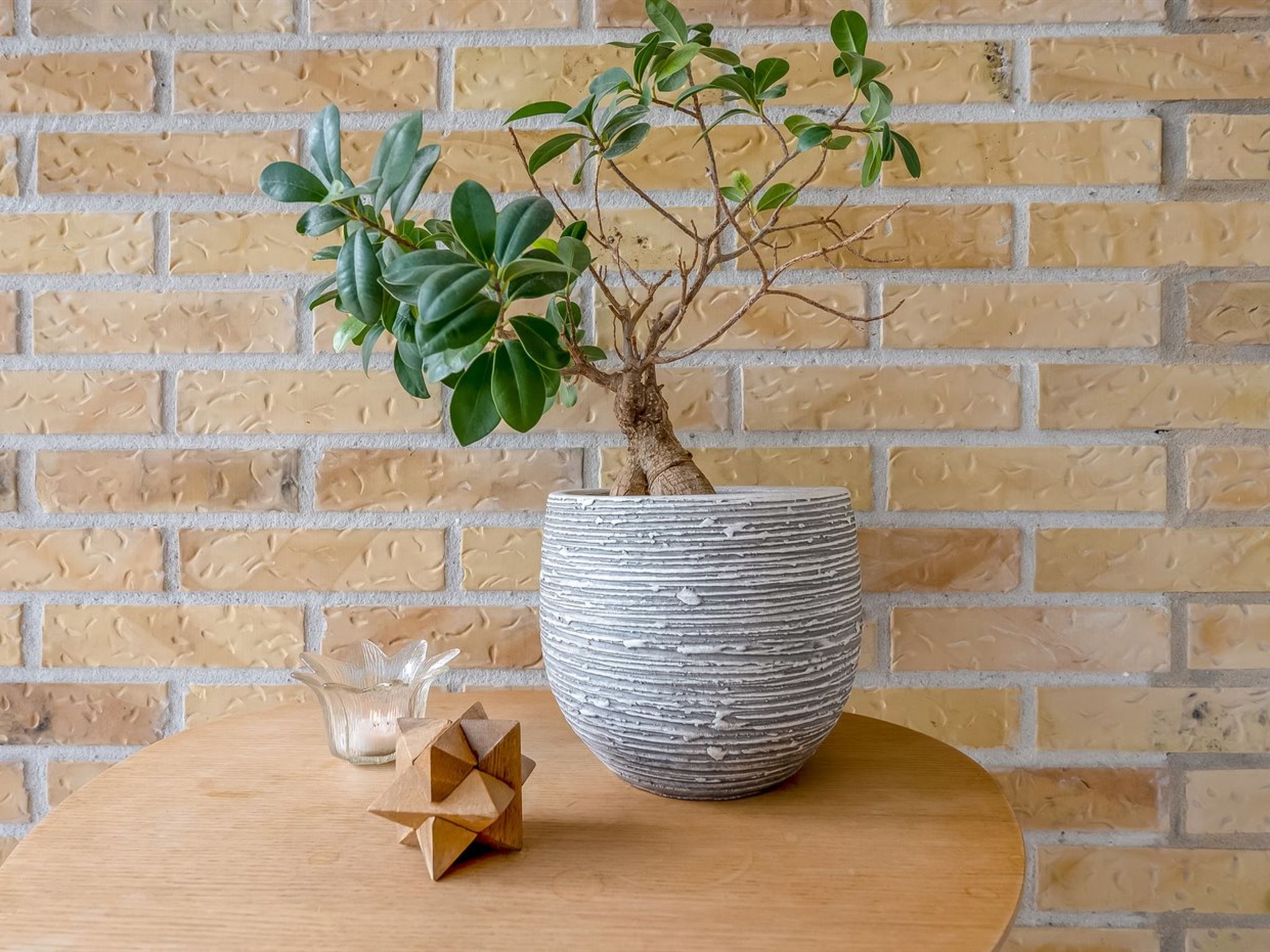 "Ellanora" - 50m from the sea-Binnen