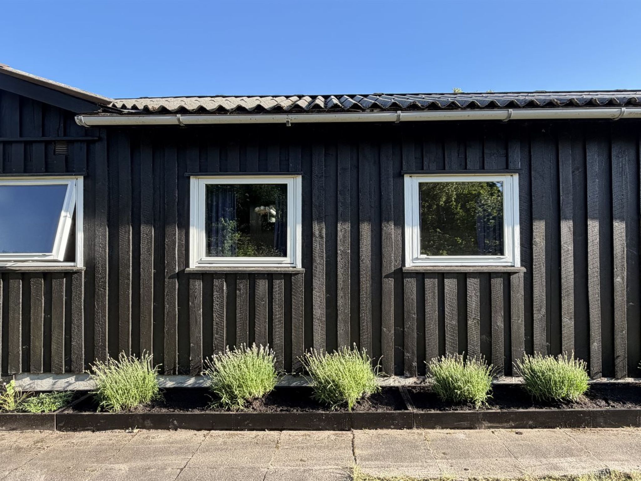 "Hælf" - 600m from the sea