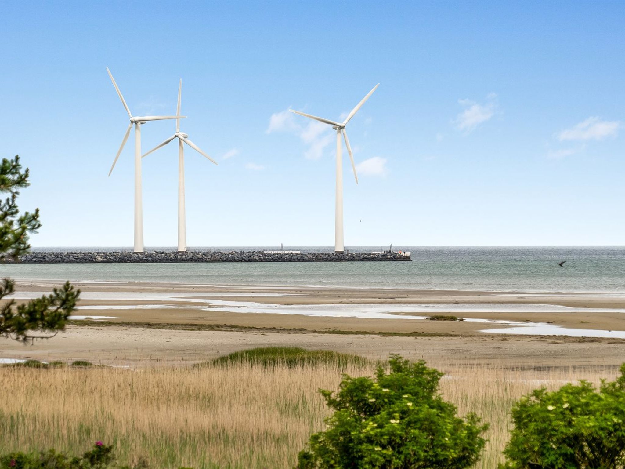 "Elpida" - 100m from the sea - Buiten