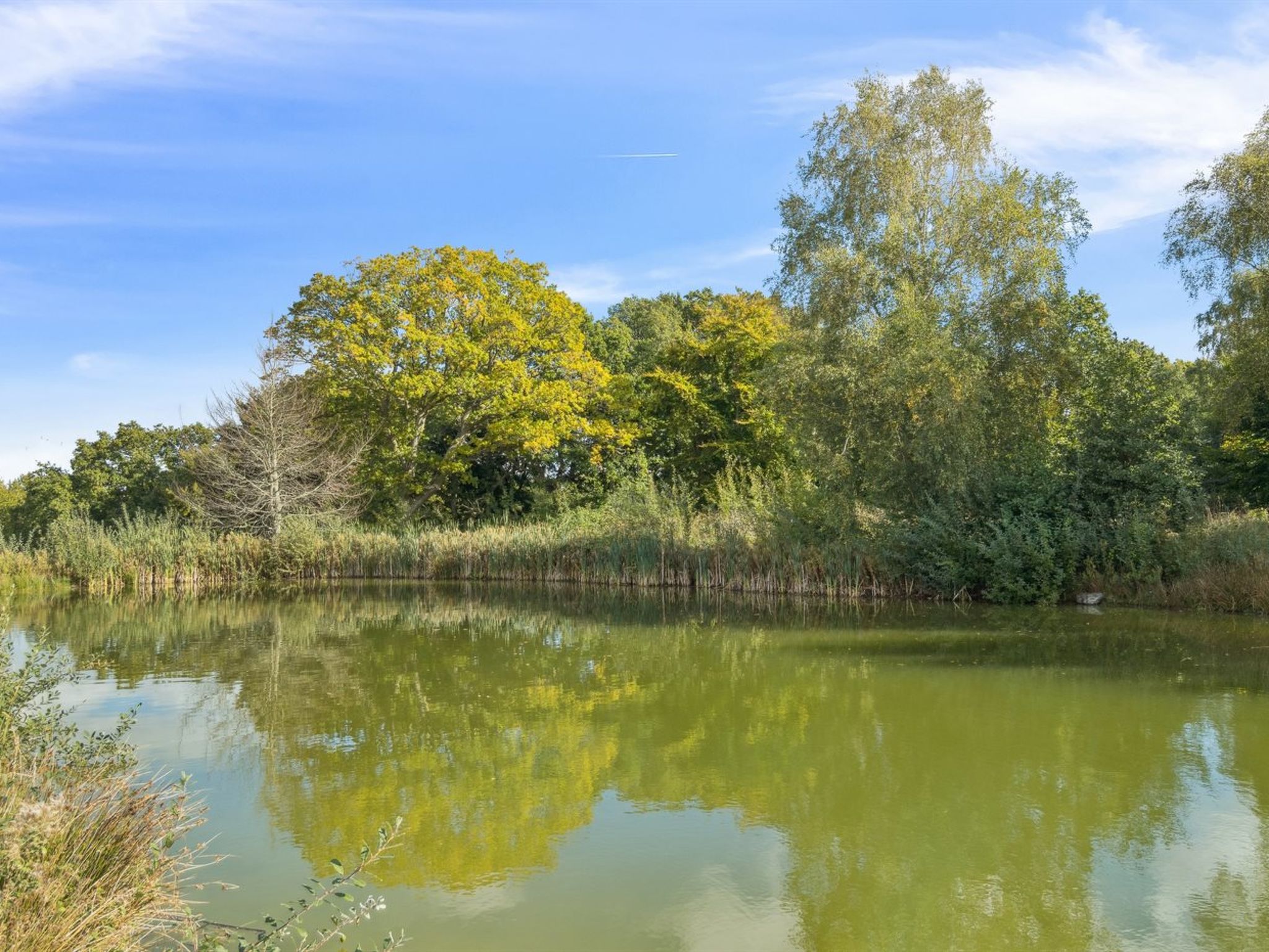 "Marrit" - 500m from the sea-Buiten