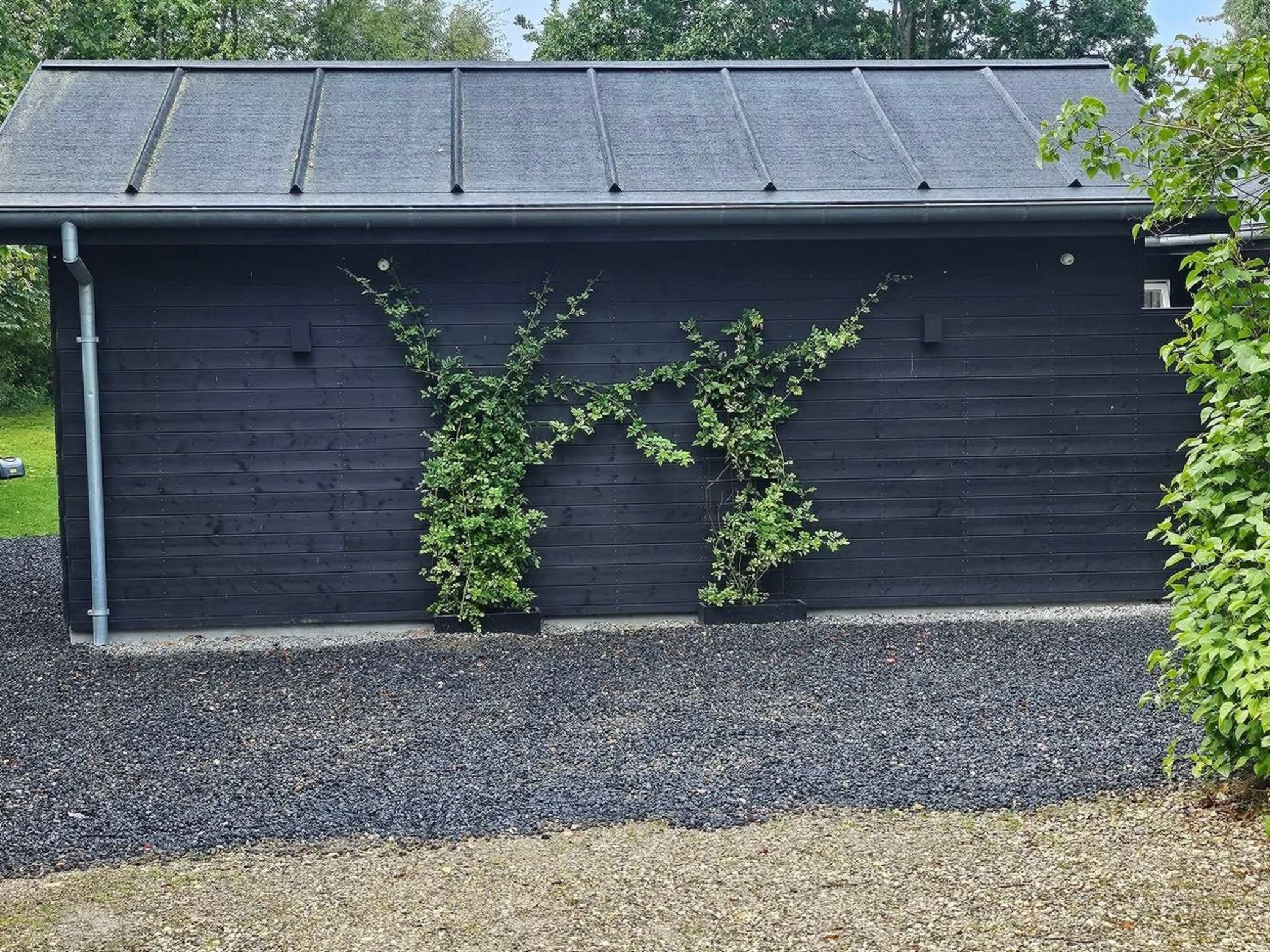 "Fridel" - 400m from the sea - Draußen