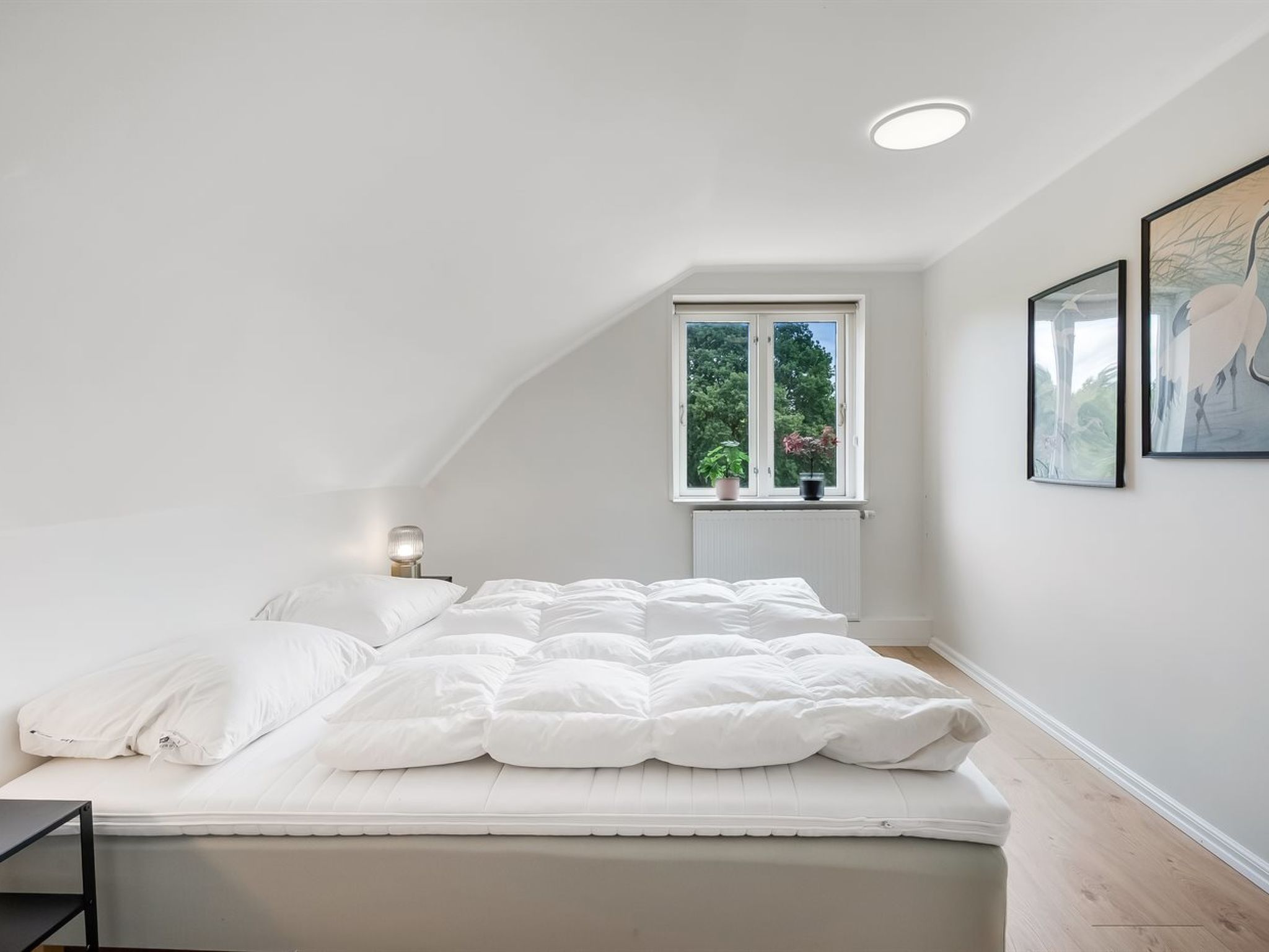 "Alkmar" - 6.5km from the sea - Drinnen