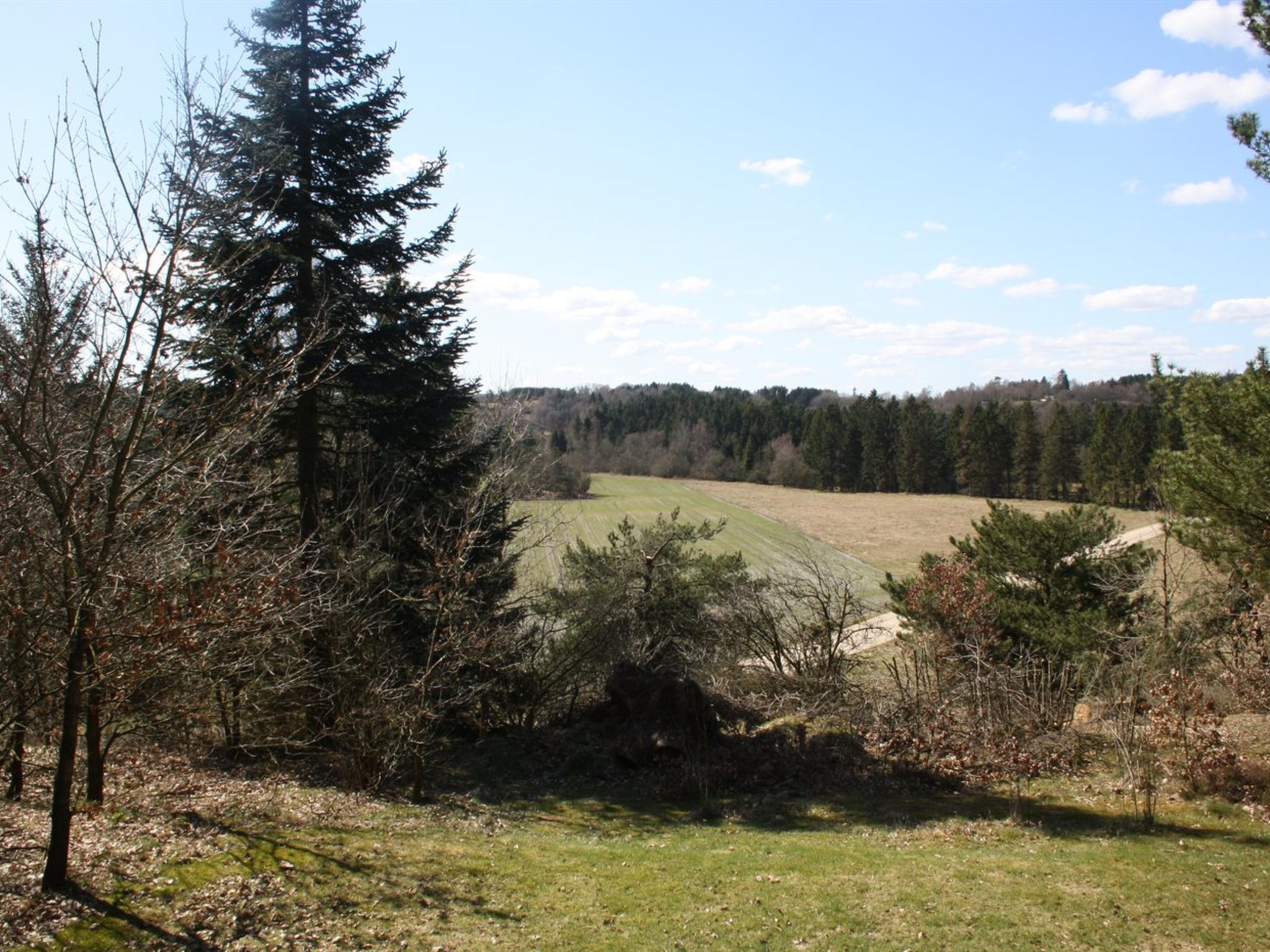 "Piia" - 800m from the sea - Buiten