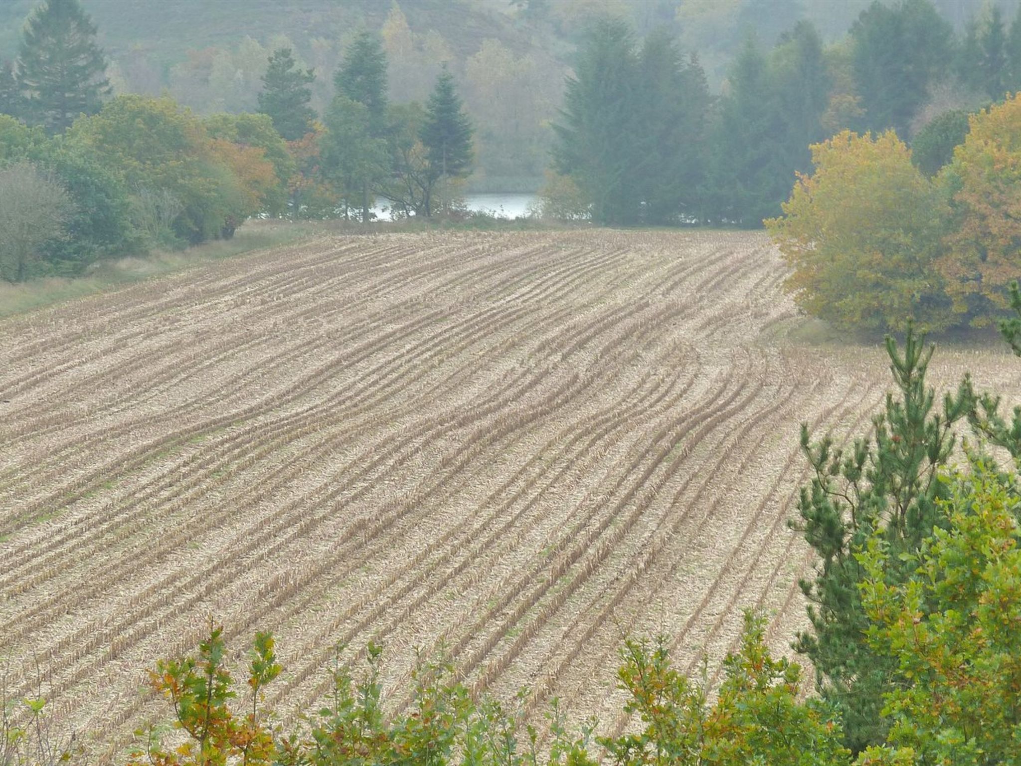 "Piia" - 800m from the sea - Buiten