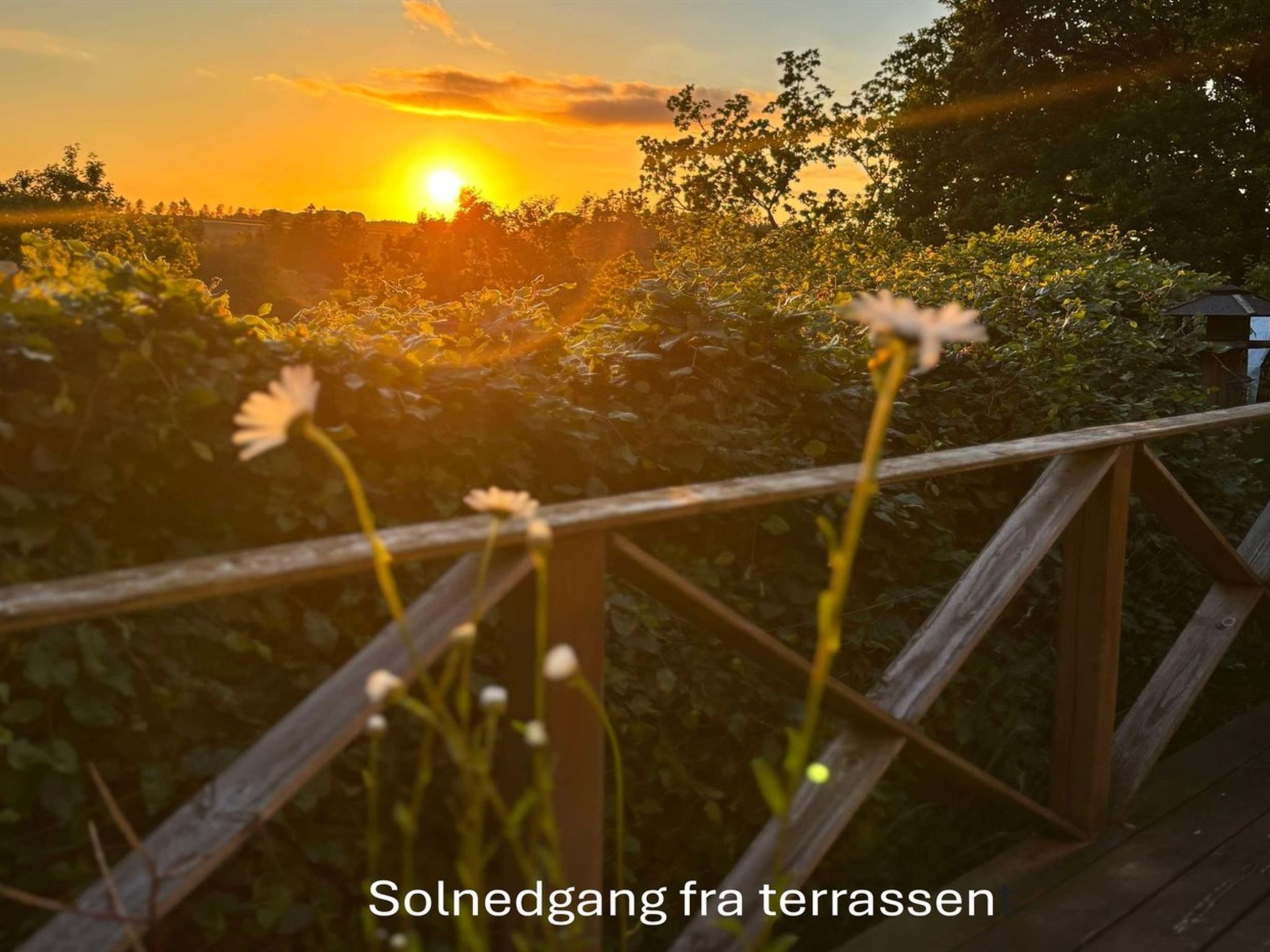 "Bernadete" - Buiten