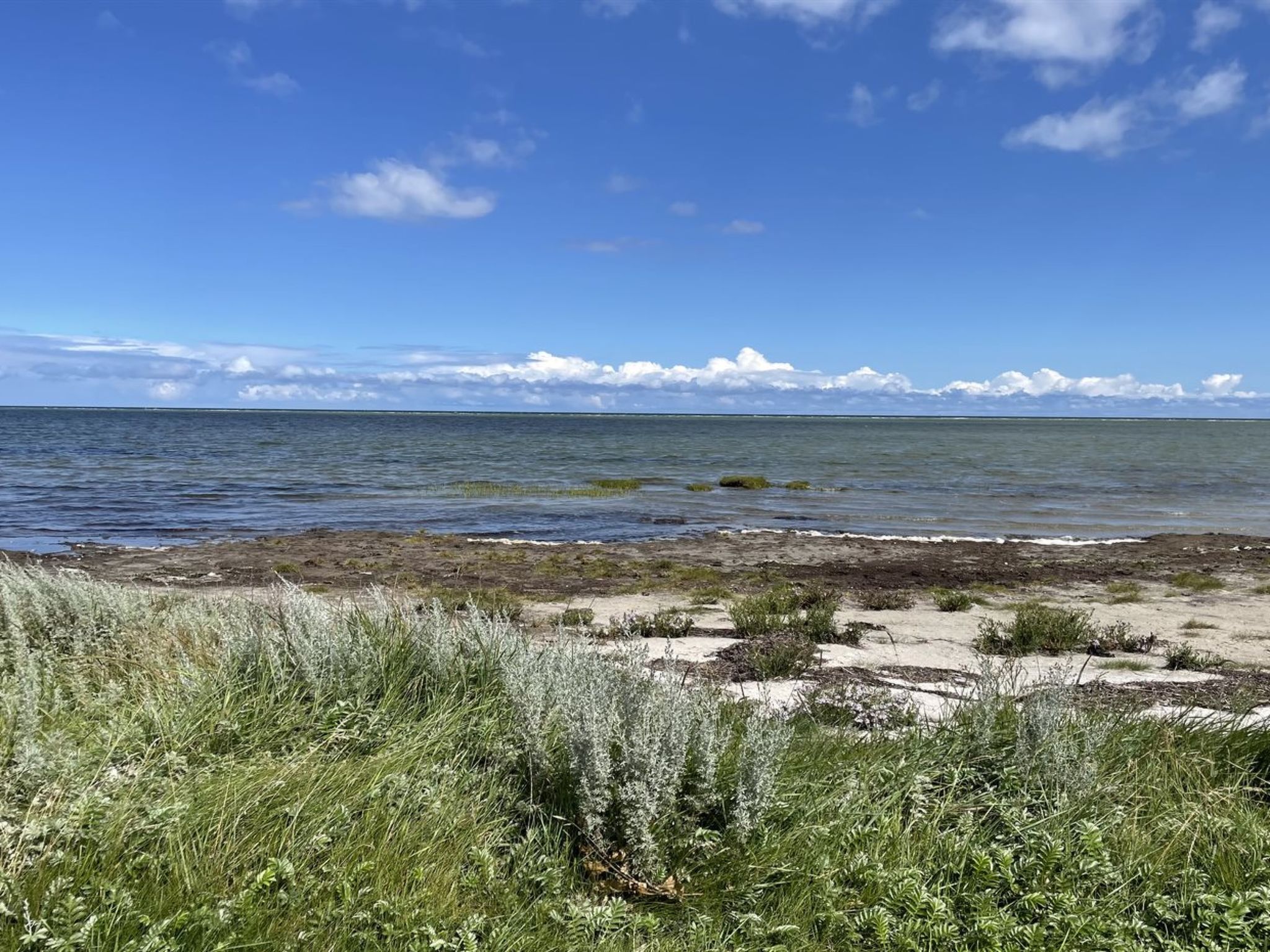 "Desche" - 300m from the sea - Dehors