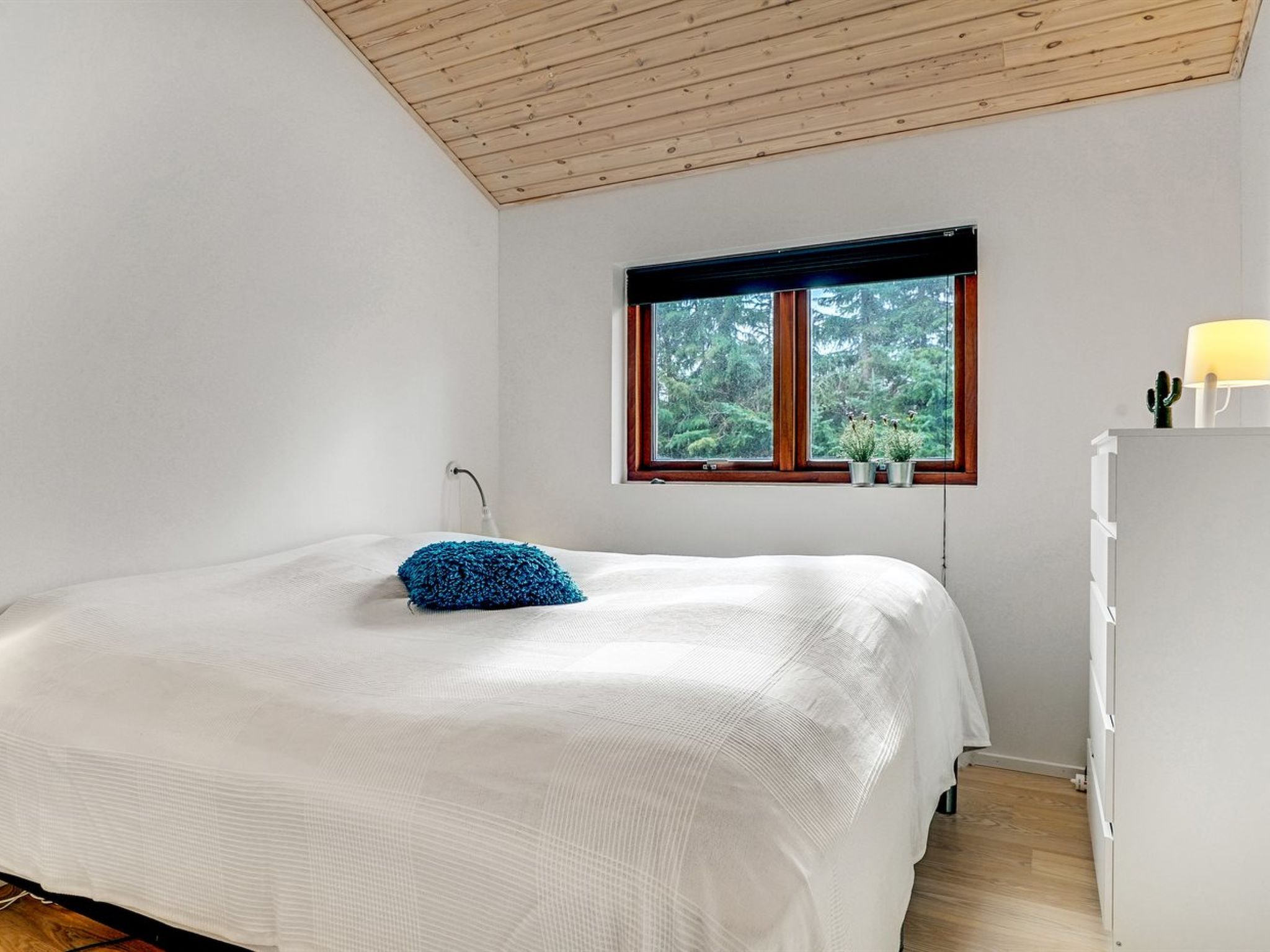 Photo of "Orm" - 550m to the fjord