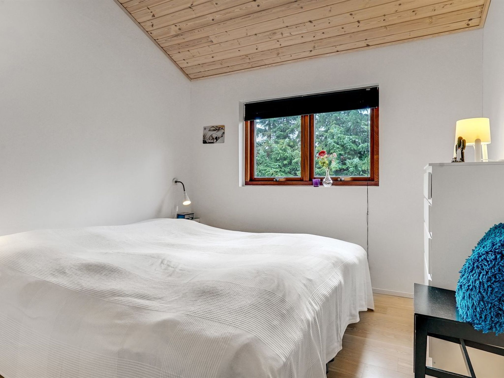 Photo of "Orm" - 550m to the fjord