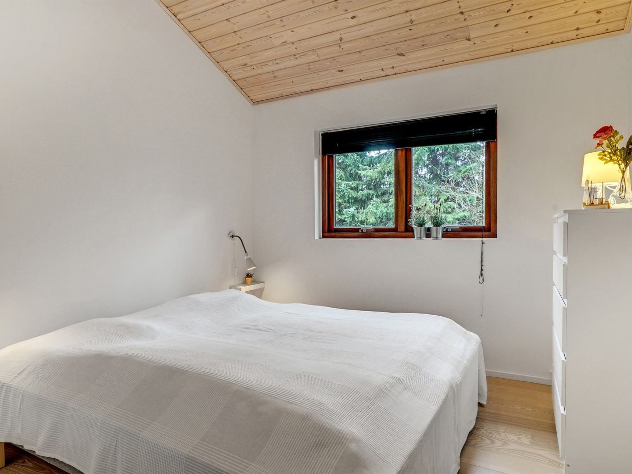 Photo of "Orm" - 550m to the fjord