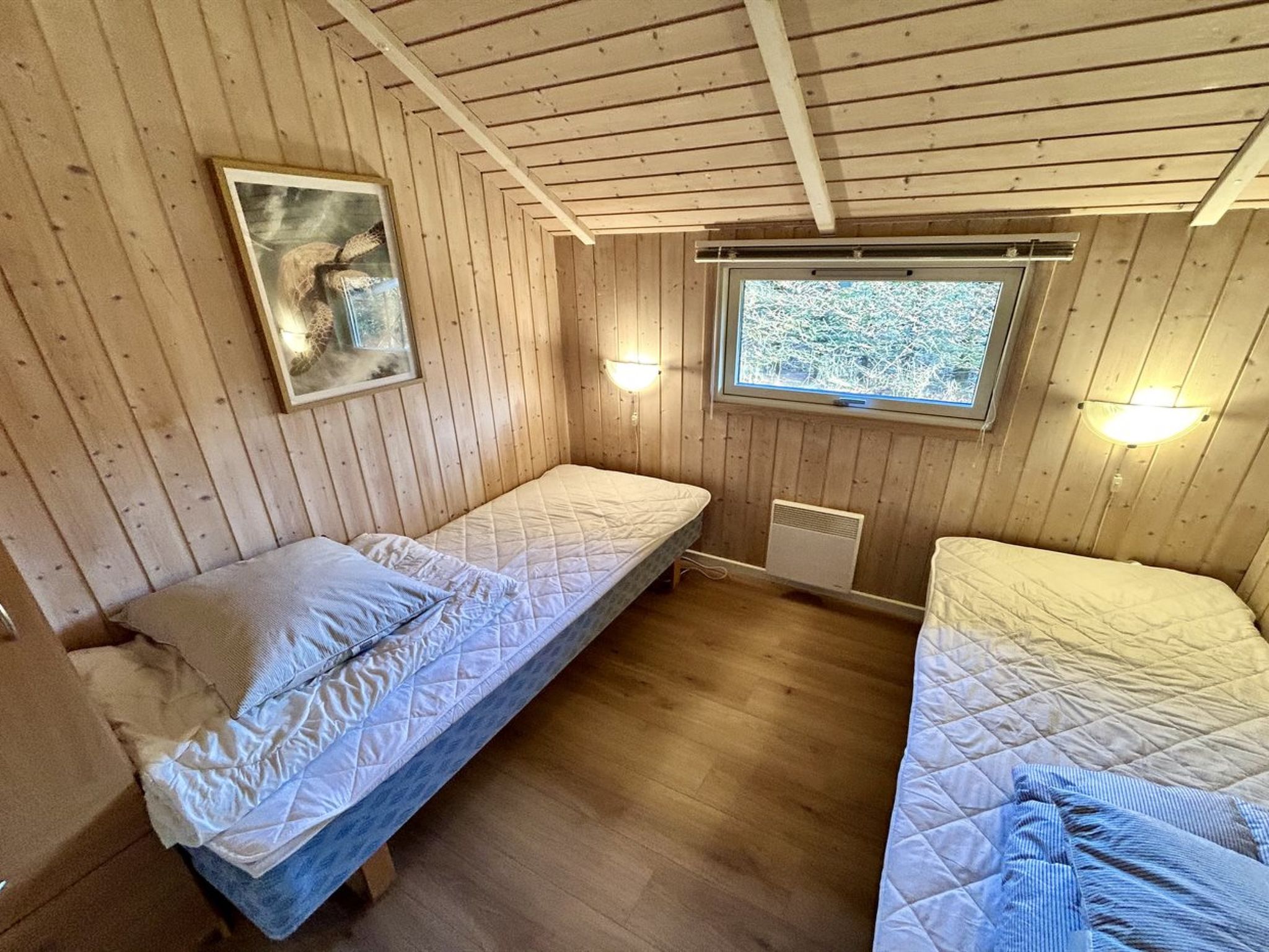 Photo of "Kalli" - 350m to the fjord