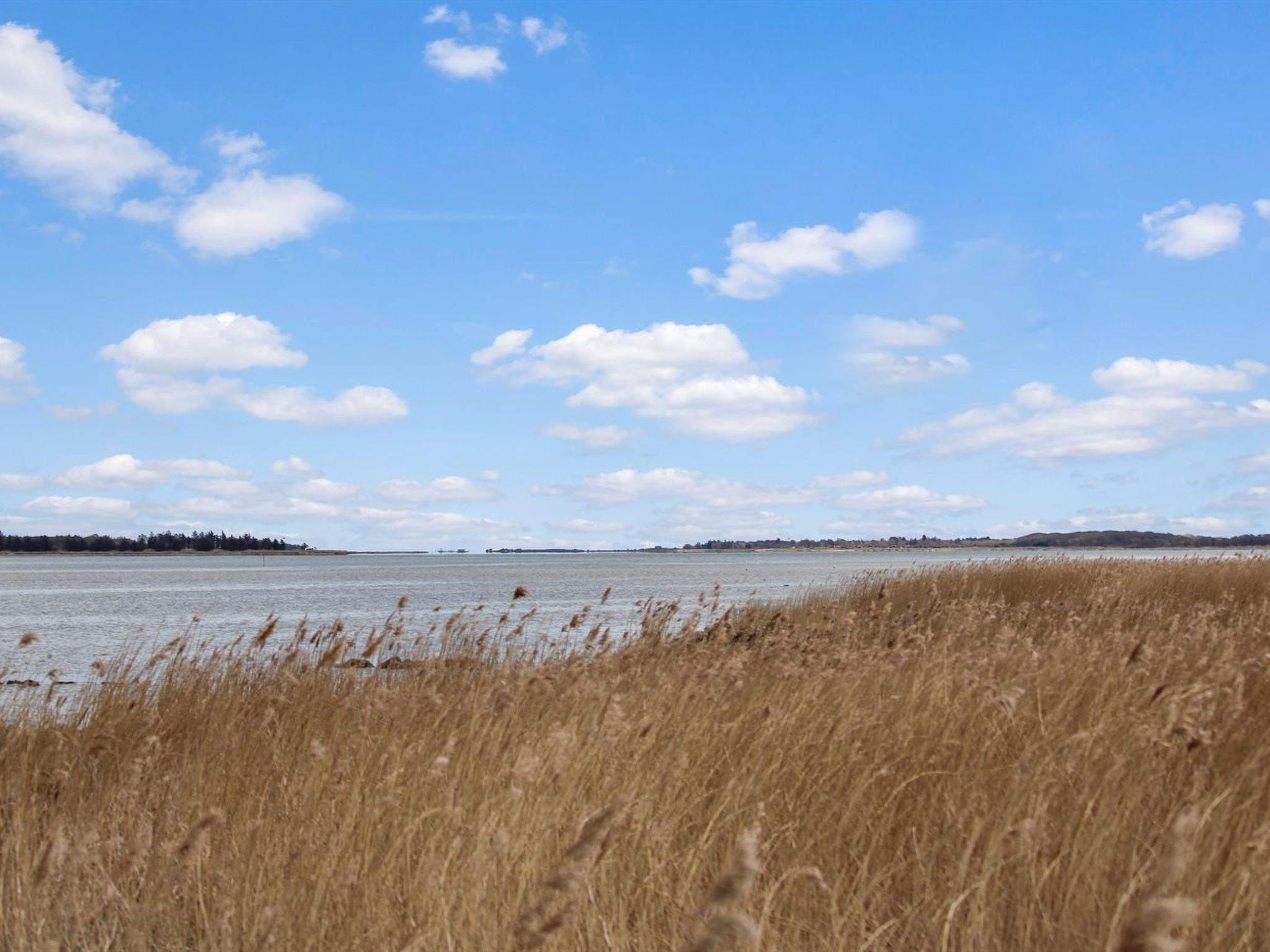 "Bendine" - 100m to the fjord - Buiten
