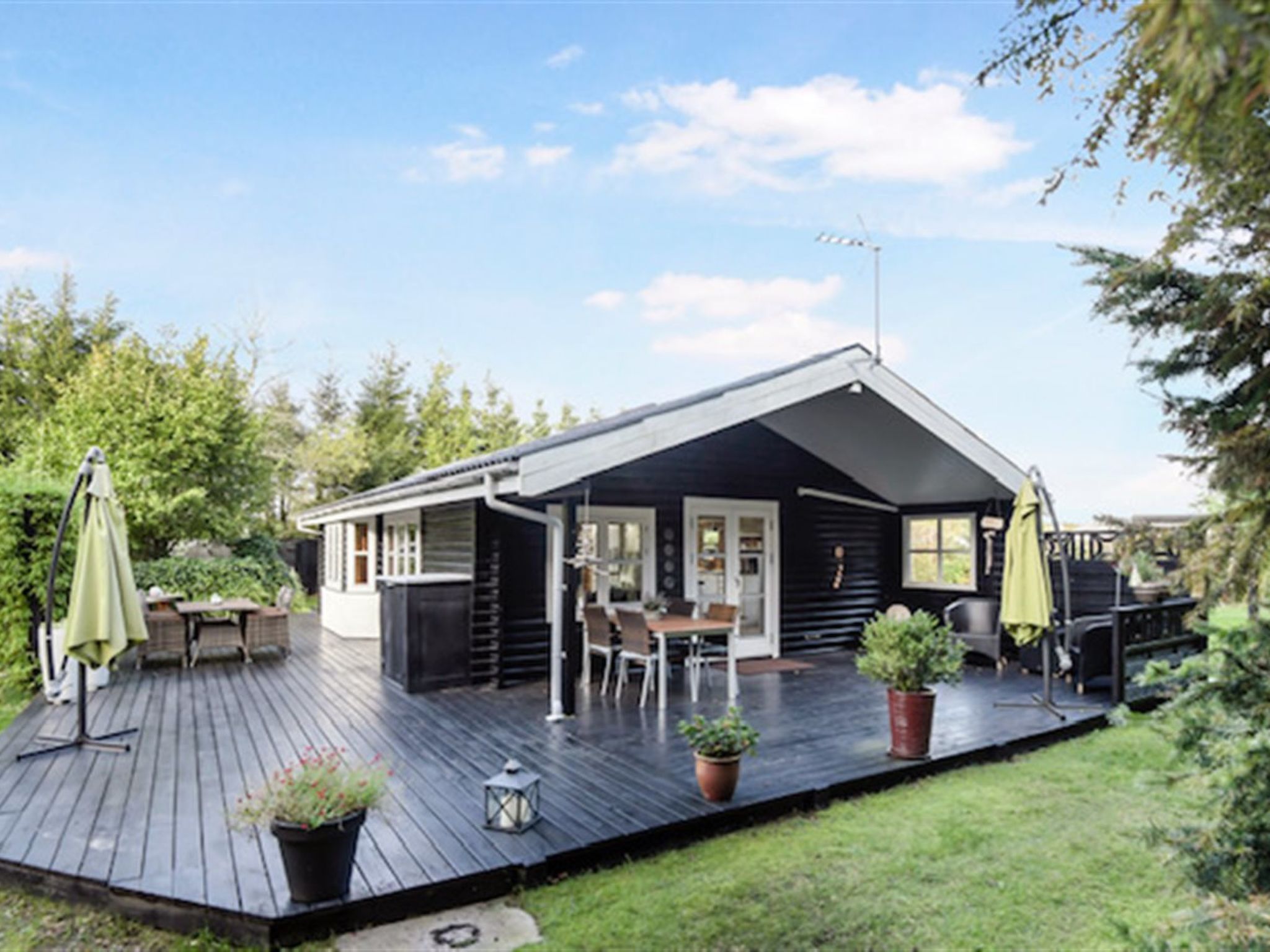 Photo of "Tjarko" - 690m to the fjord