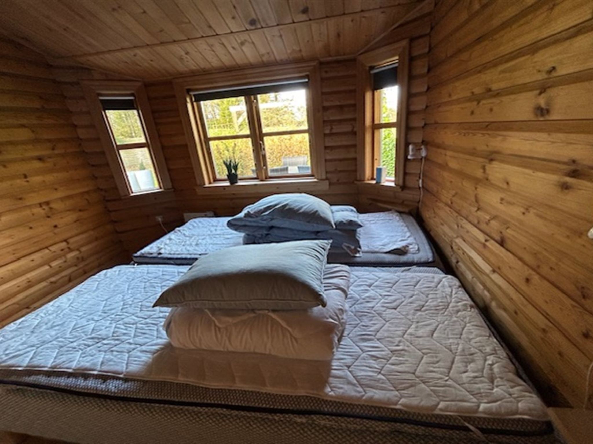 Photo of "Tjarko" - 690m to the fjord