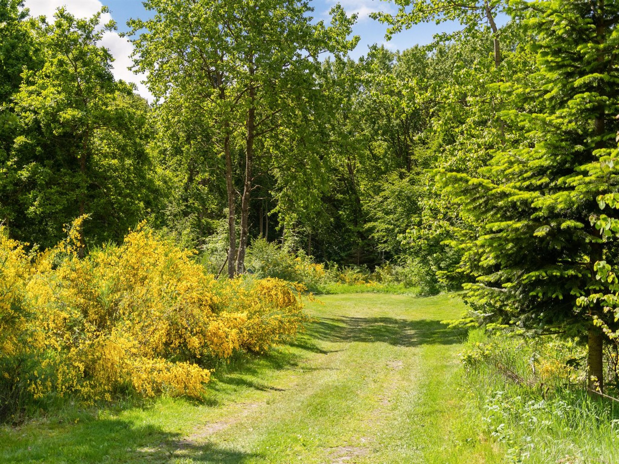 "Gunward" - 1.5km from the sea - Buiten