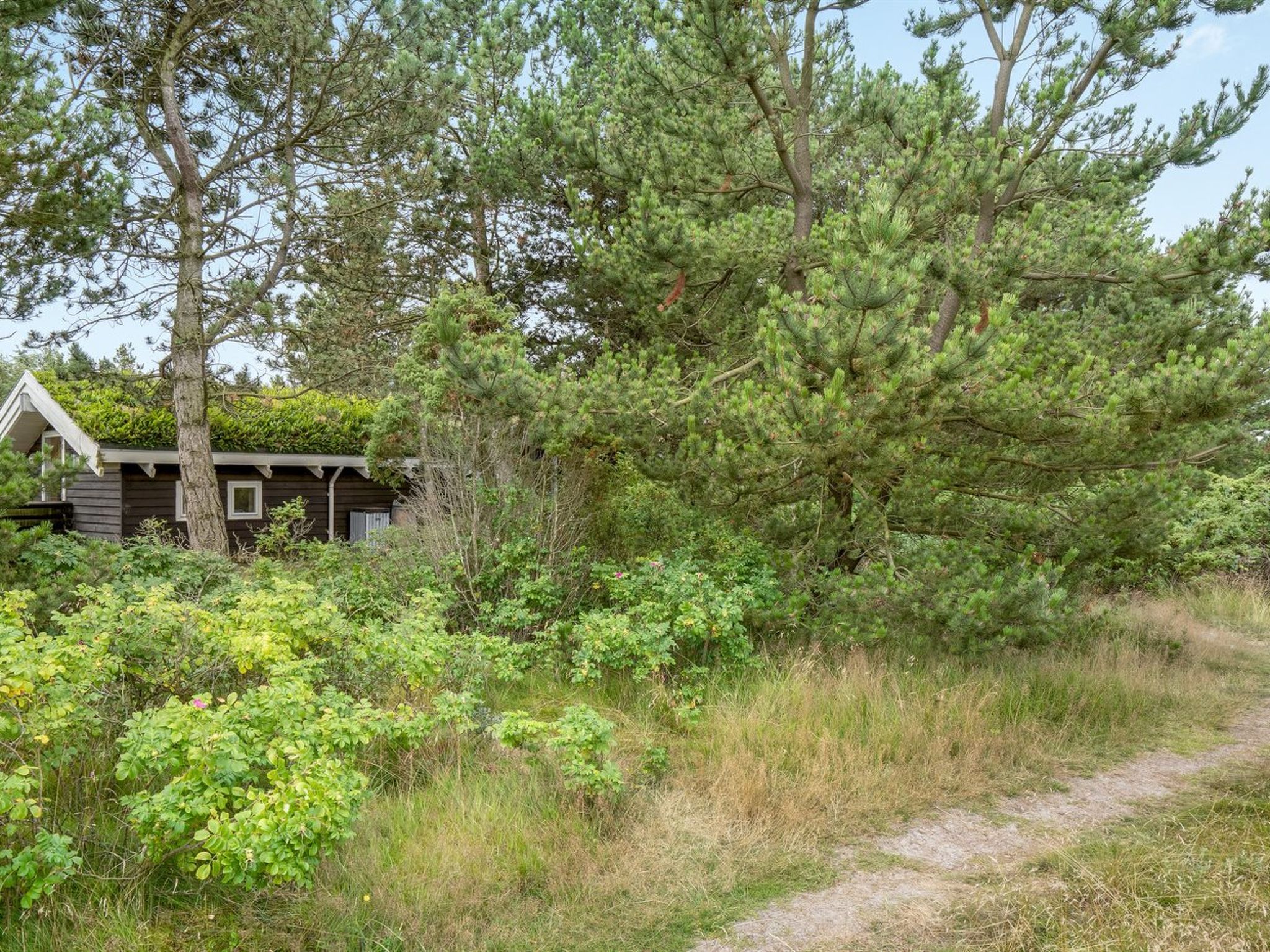 "Alfi" - 150m from the sea-Draußen