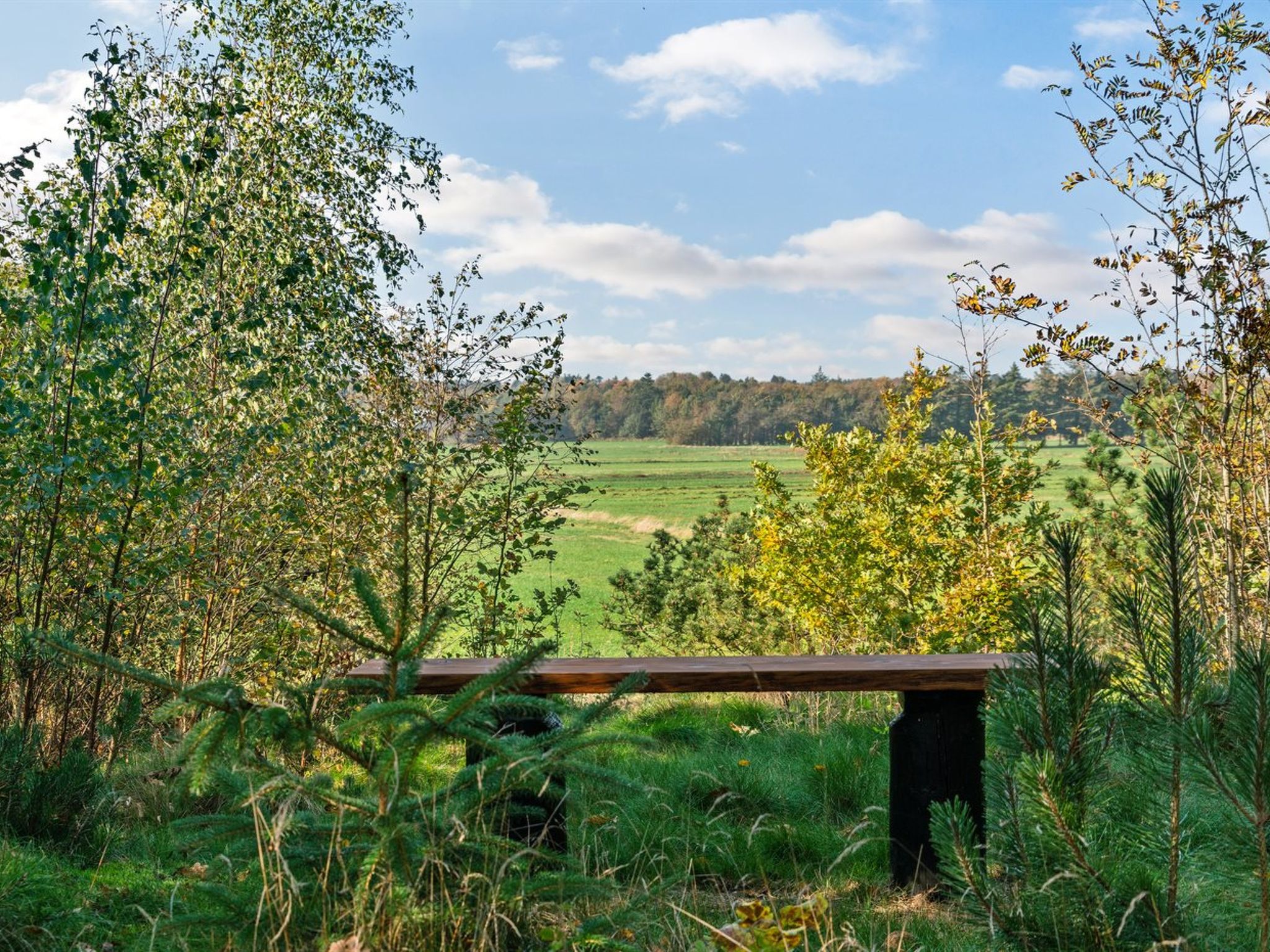 "Mourits" - 1.2km from the sea - Buiten