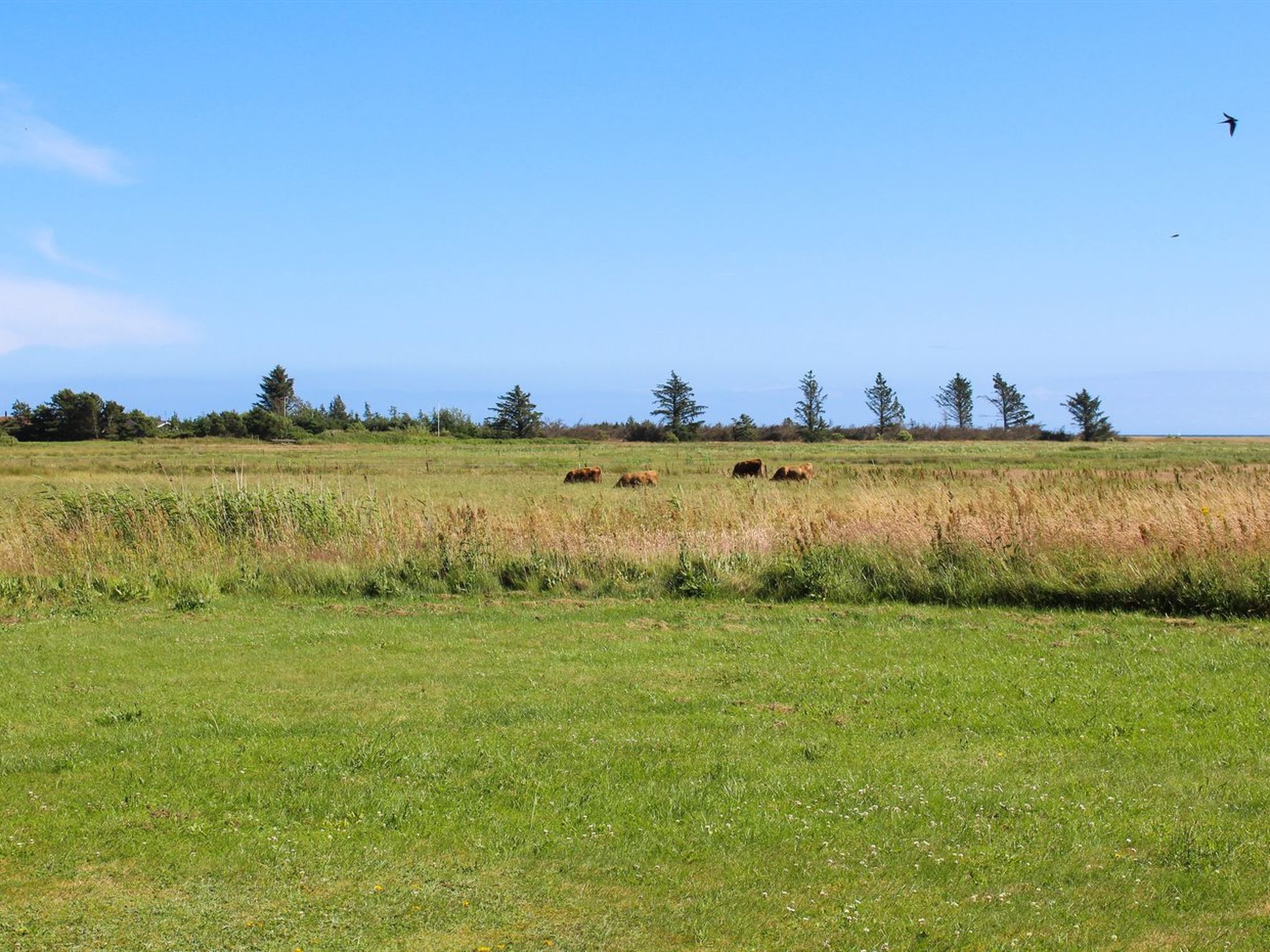 "Calina" - 300m from the sea-Buiten