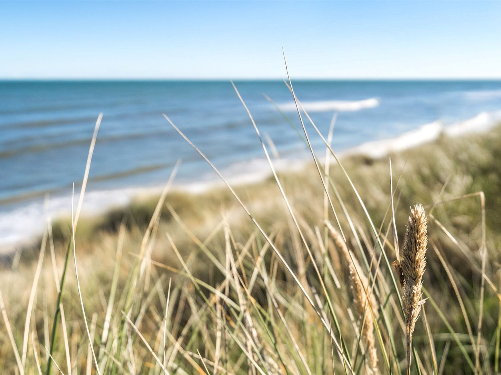 "Jeldrik" - 100m from the sea - Buiten