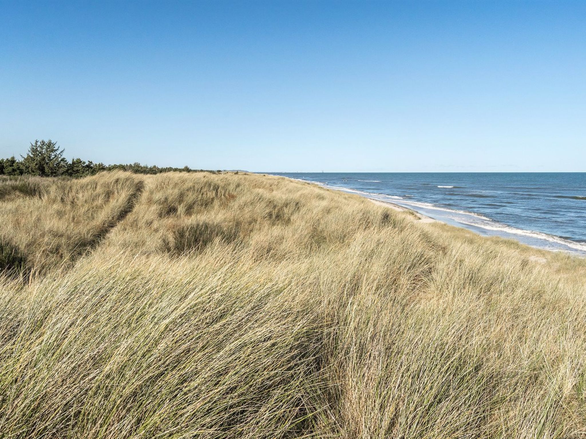 "Jeldrik" - 100m from the sea - Buiten