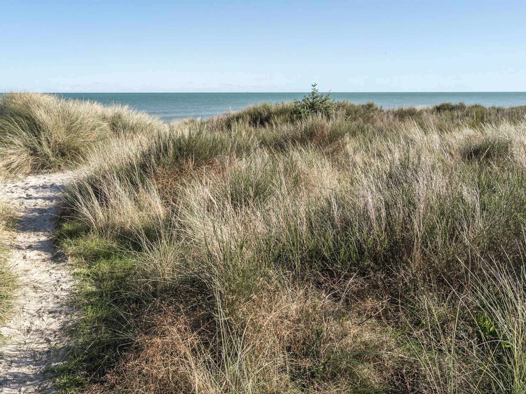 "Jeldrik" - 100m from the sea - Buiten
