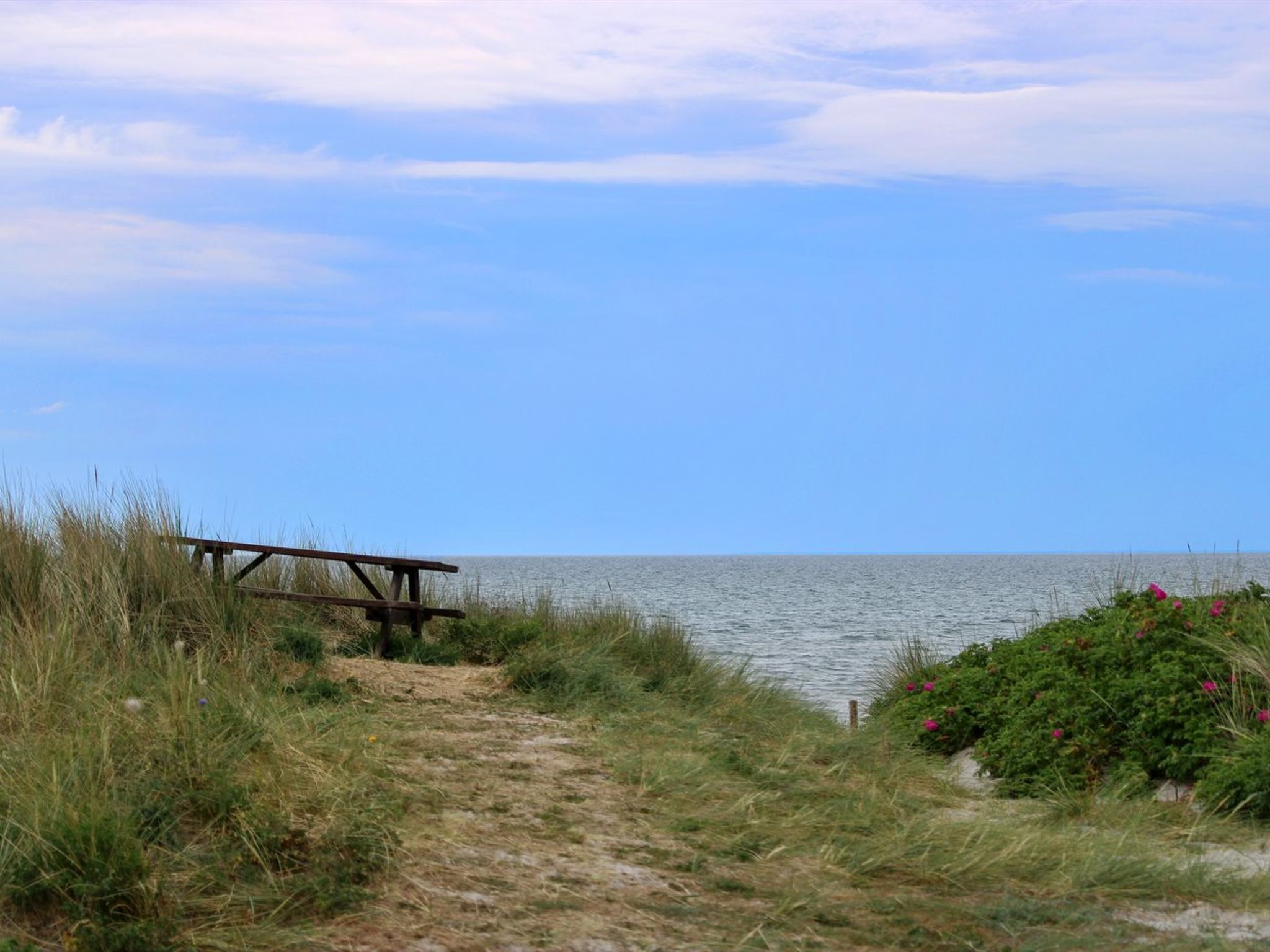 "Berndt" - 50m from the sea-Buiten