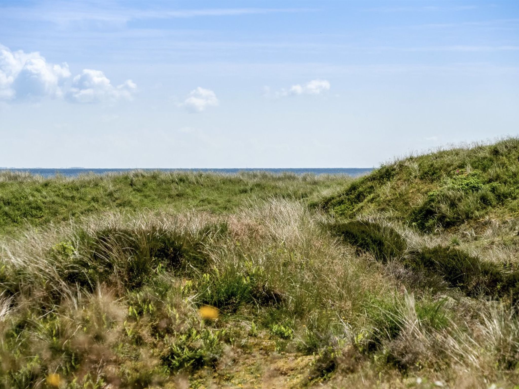 "Ajten" - 150m from the sea - Buiten